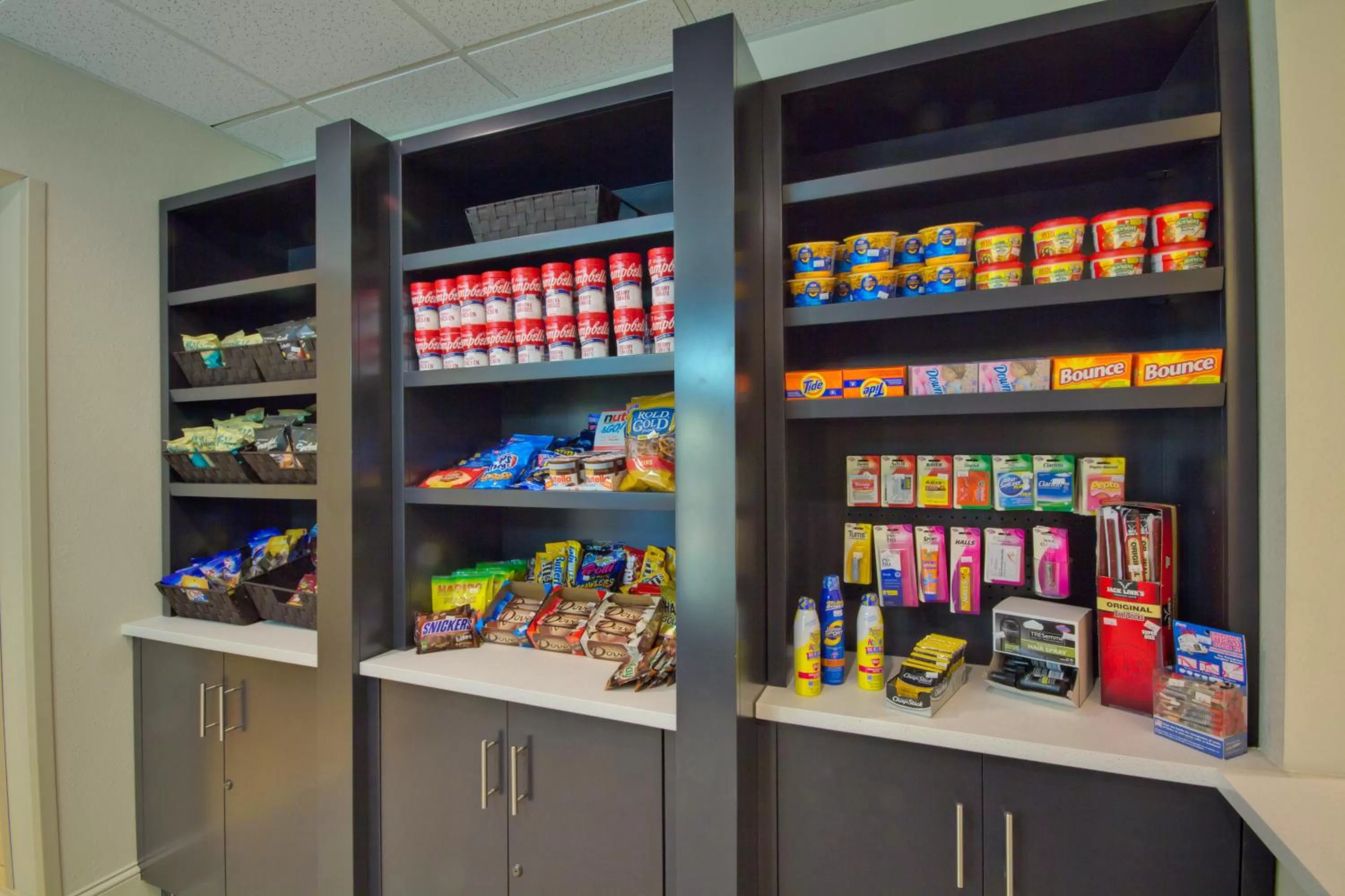 Other in Holiday Inn Express and Suites Tampa I-75 at Bruce B. Downs by IHG