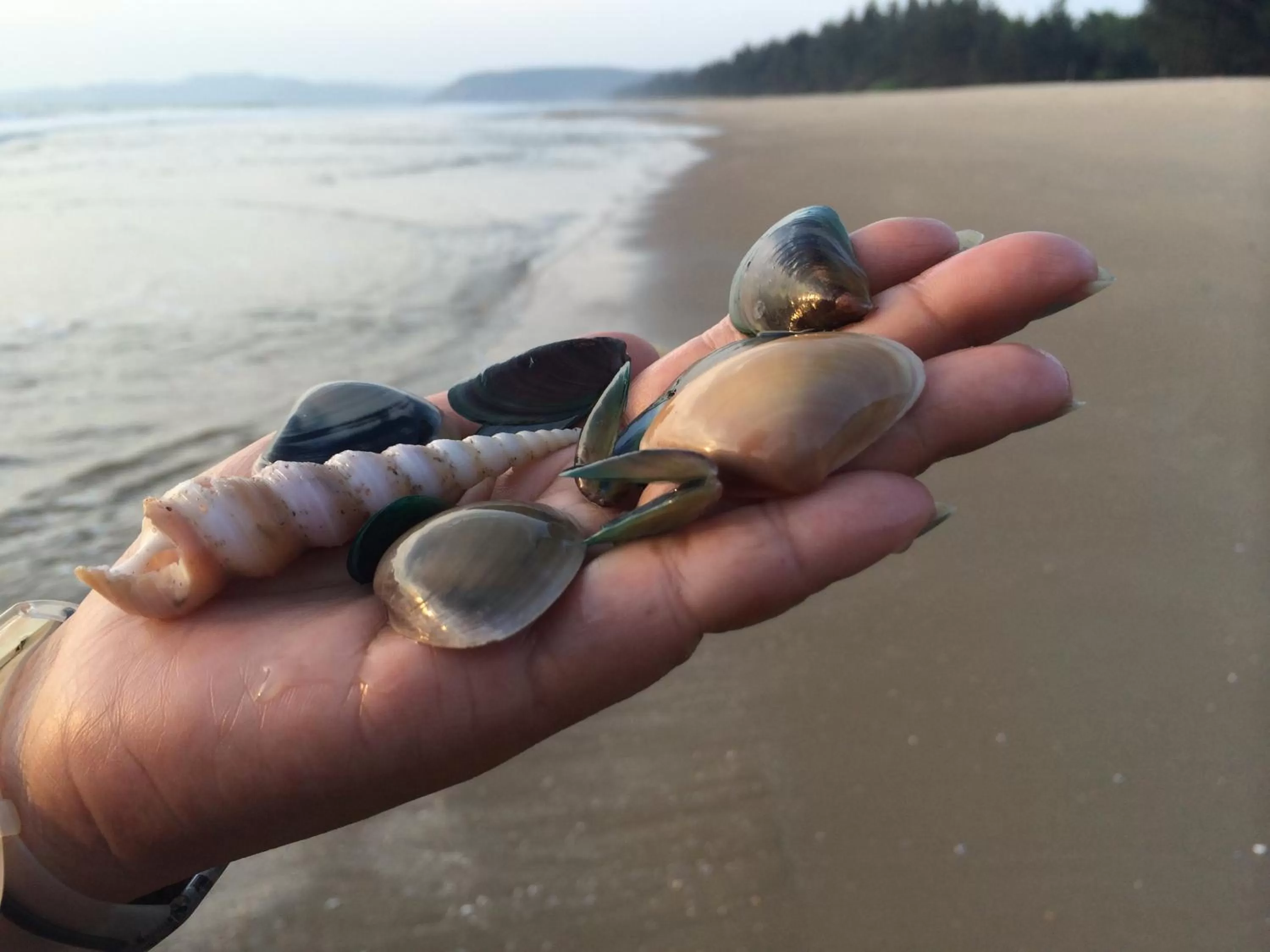 Beach in OmBodhi Retreat