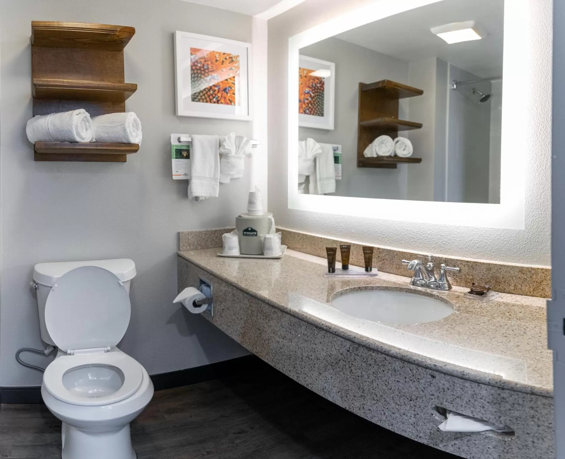 Wingate by Wyndham - DFW North