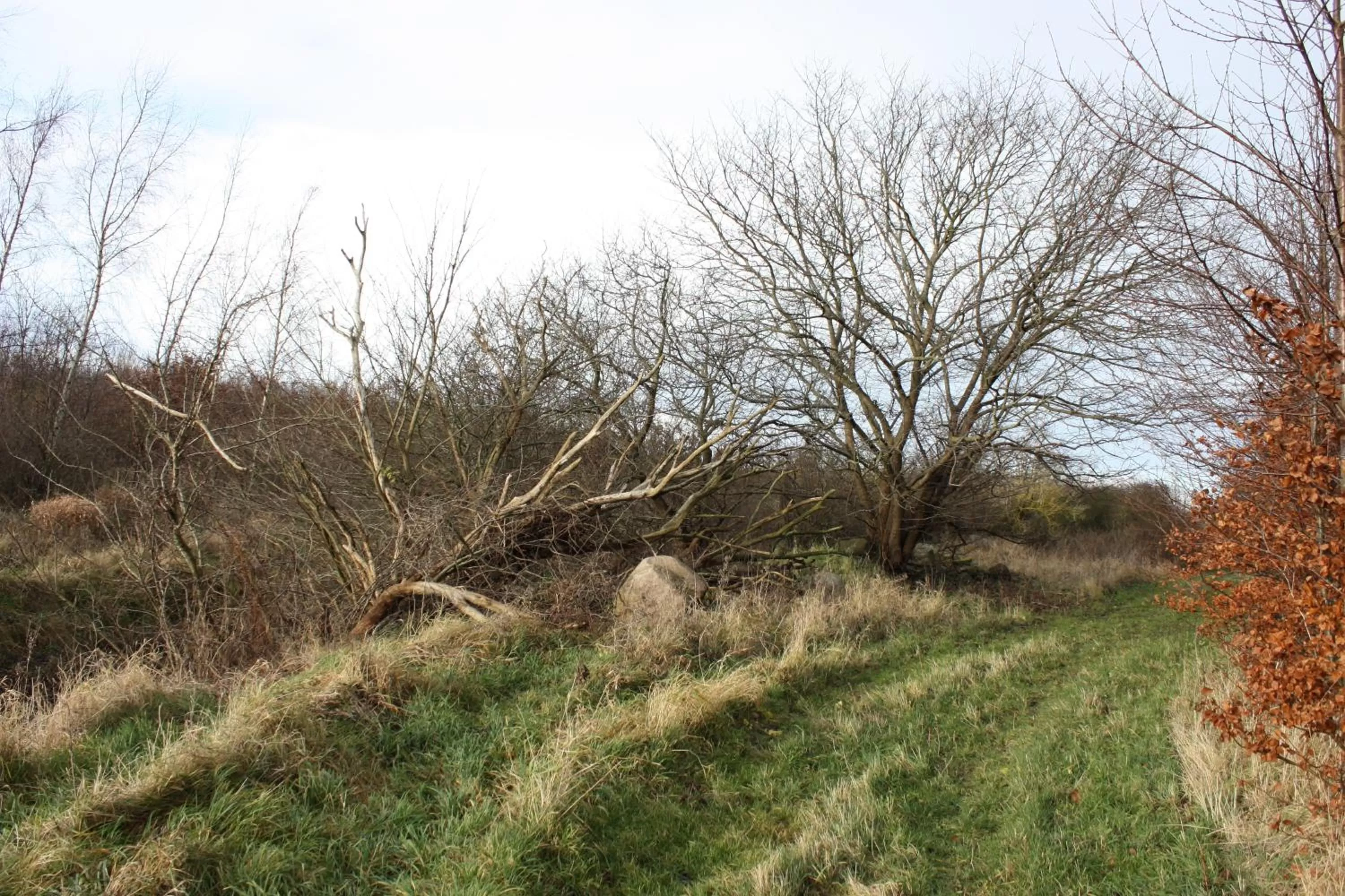 Holmehuset Bed & Breakfast