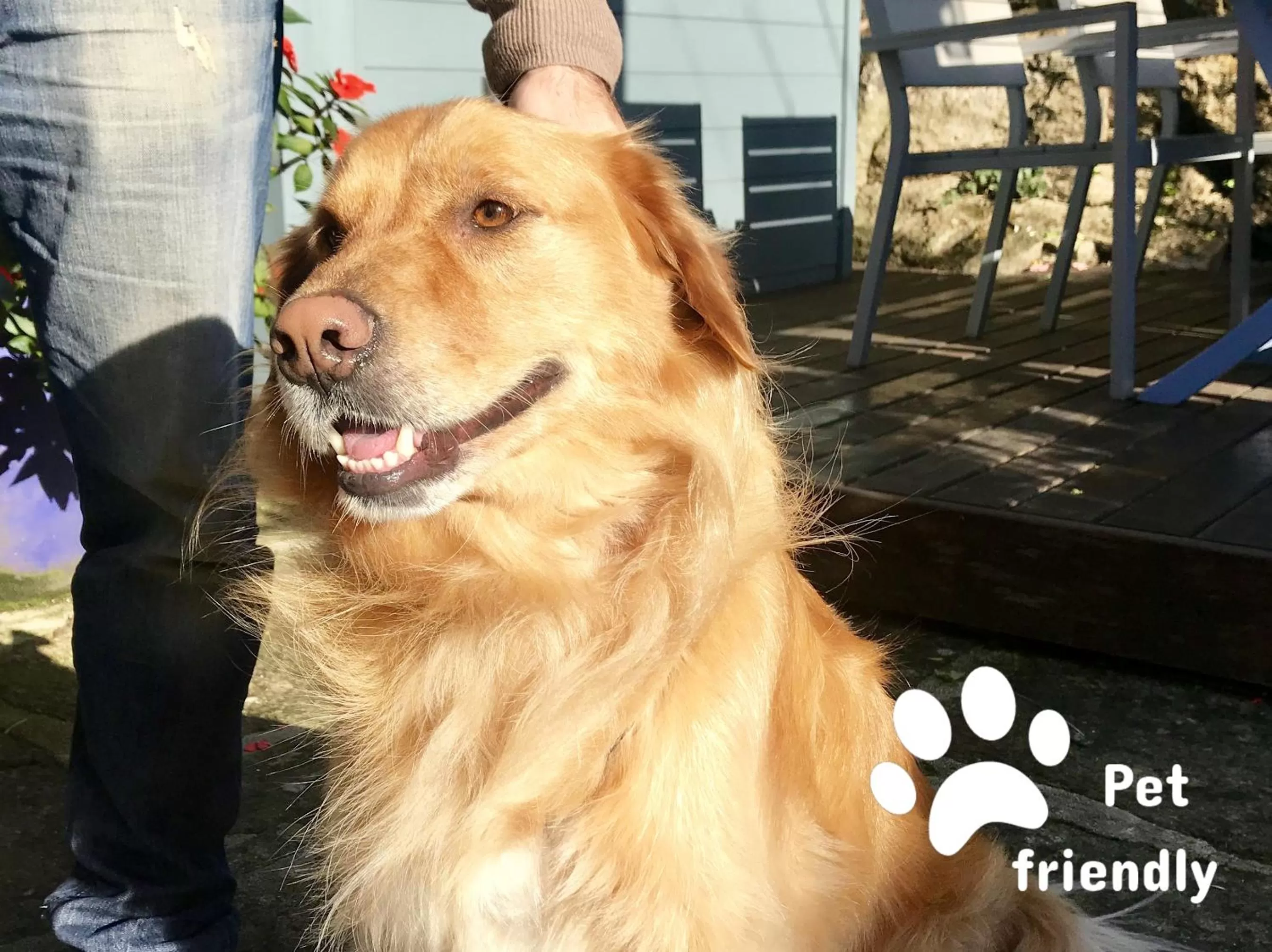 Quinta de San Amaro Rias Baixas