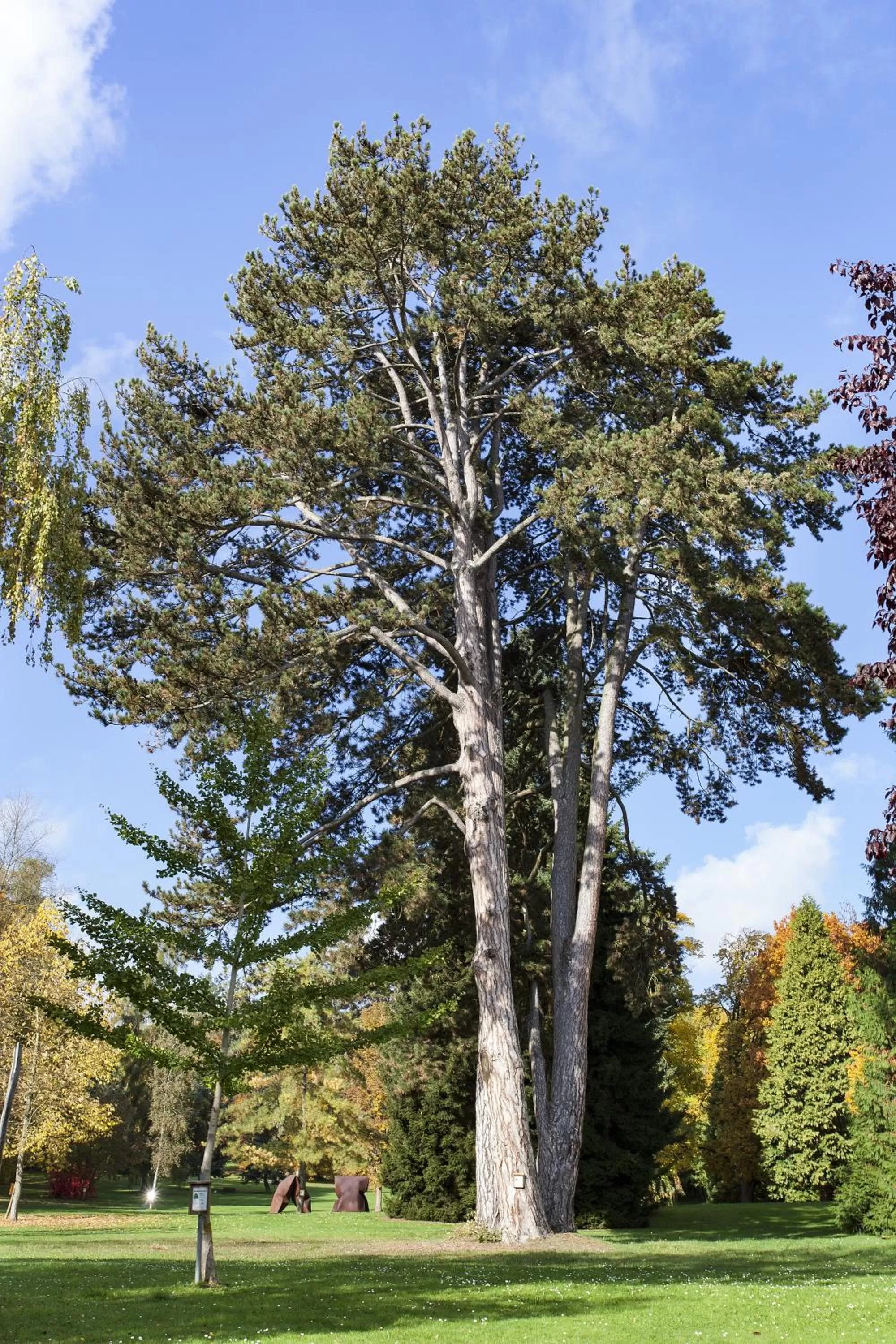 Garden in Kurhaushotel Bad Salzhausen