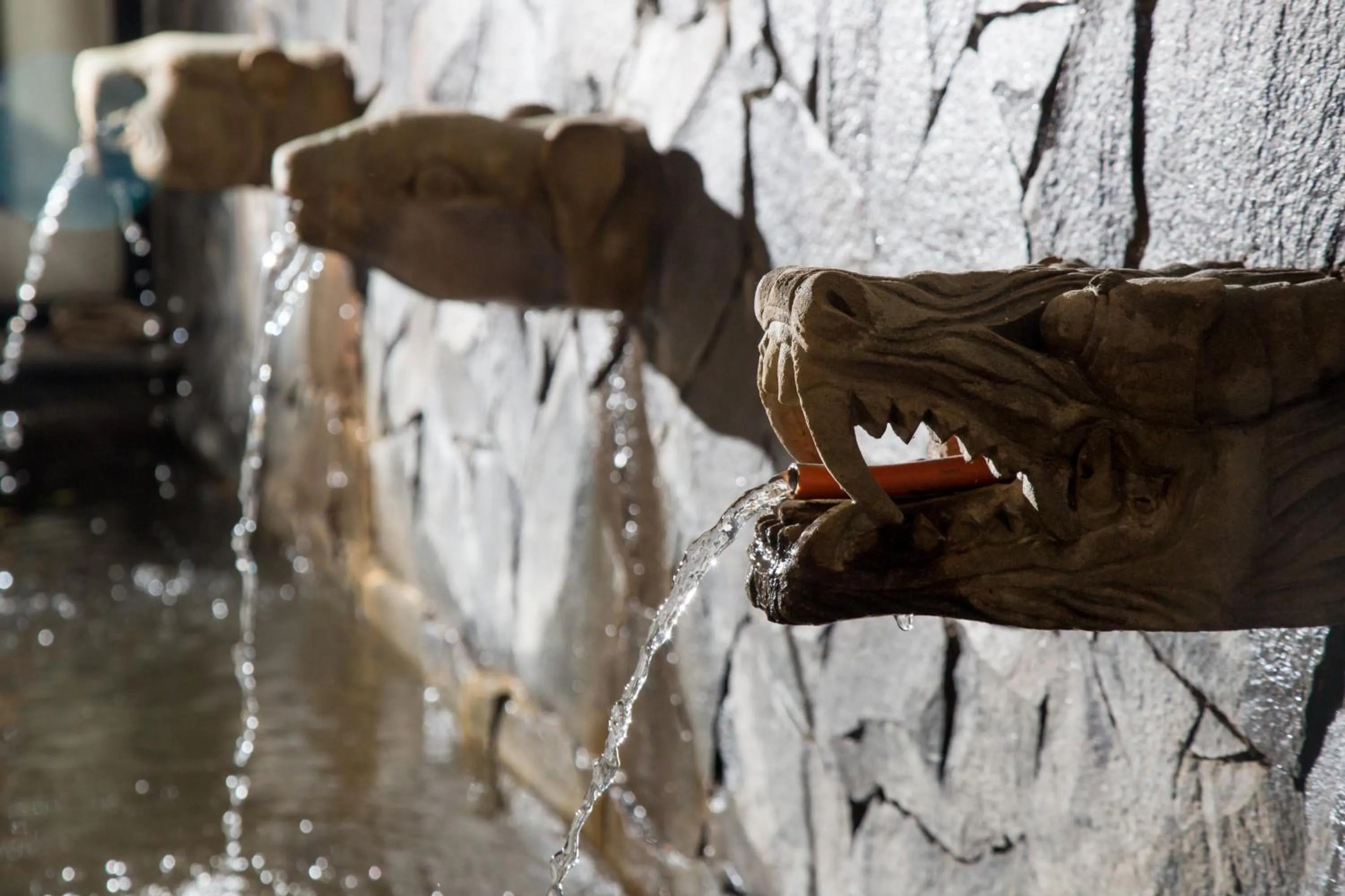 Property building in Chic Quarter