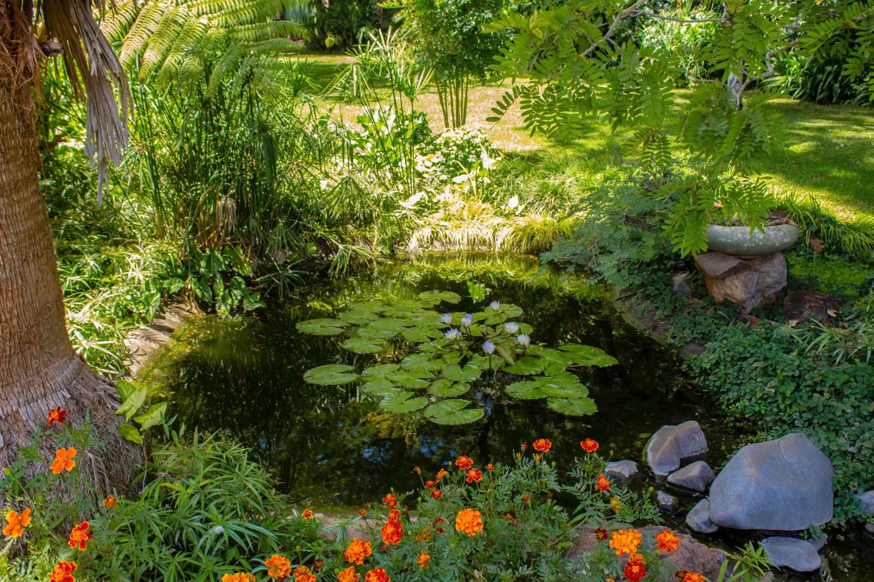Garden view, Garden in 12 FLEETWOOD