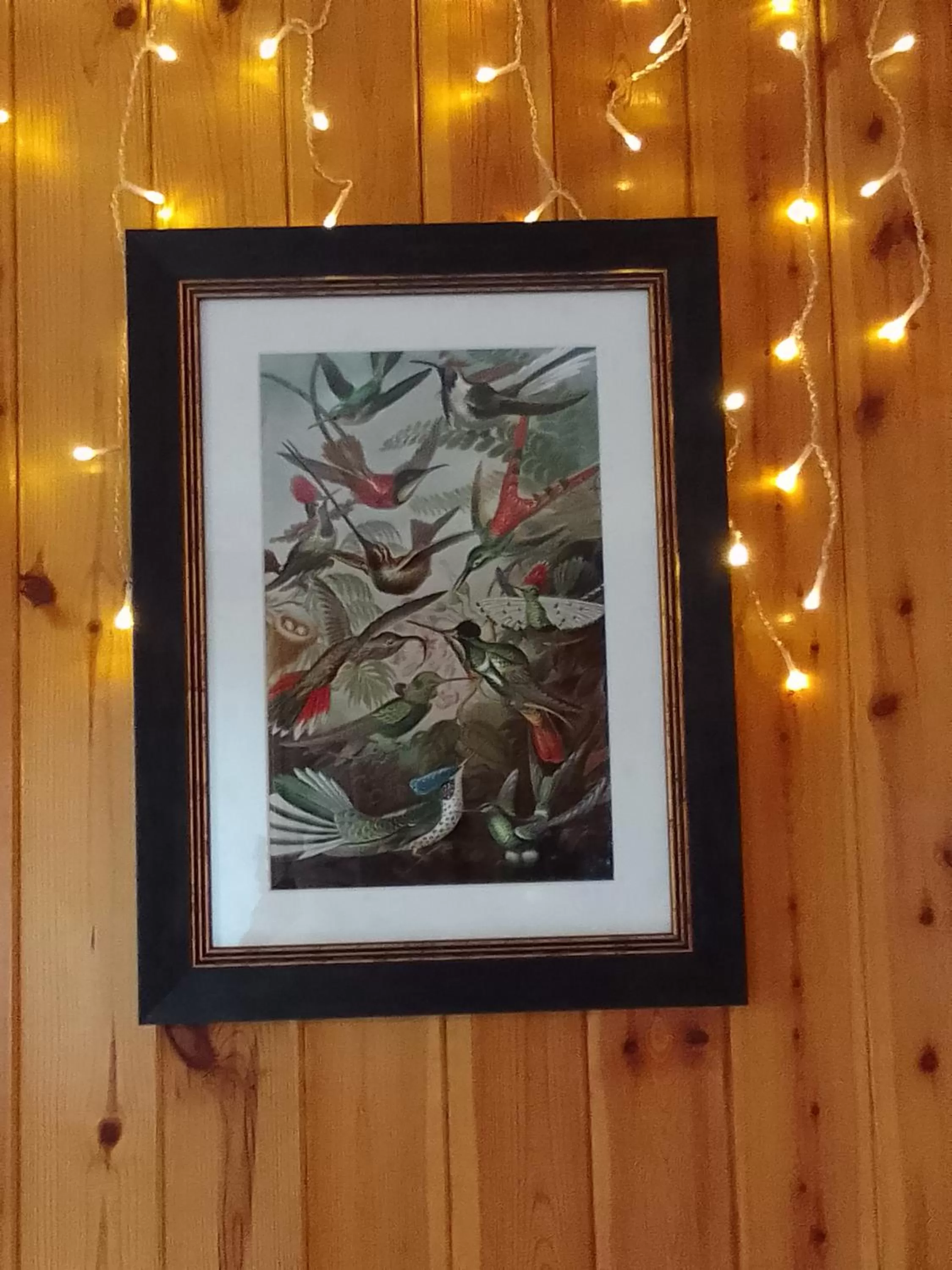 Pilgrims of the Goddess