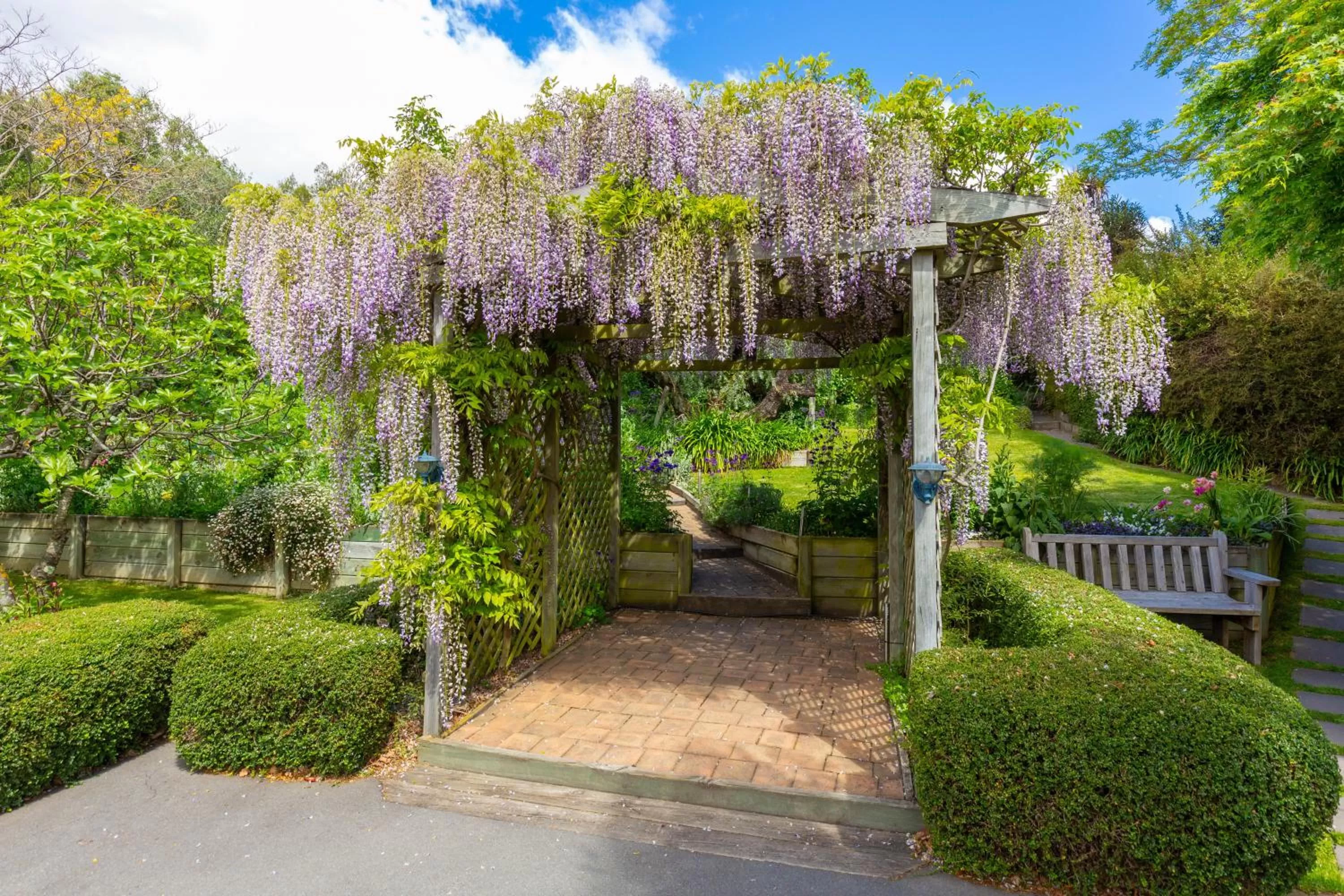 Garden in Olde Mill House B&B & Bike2Wine cycle hire