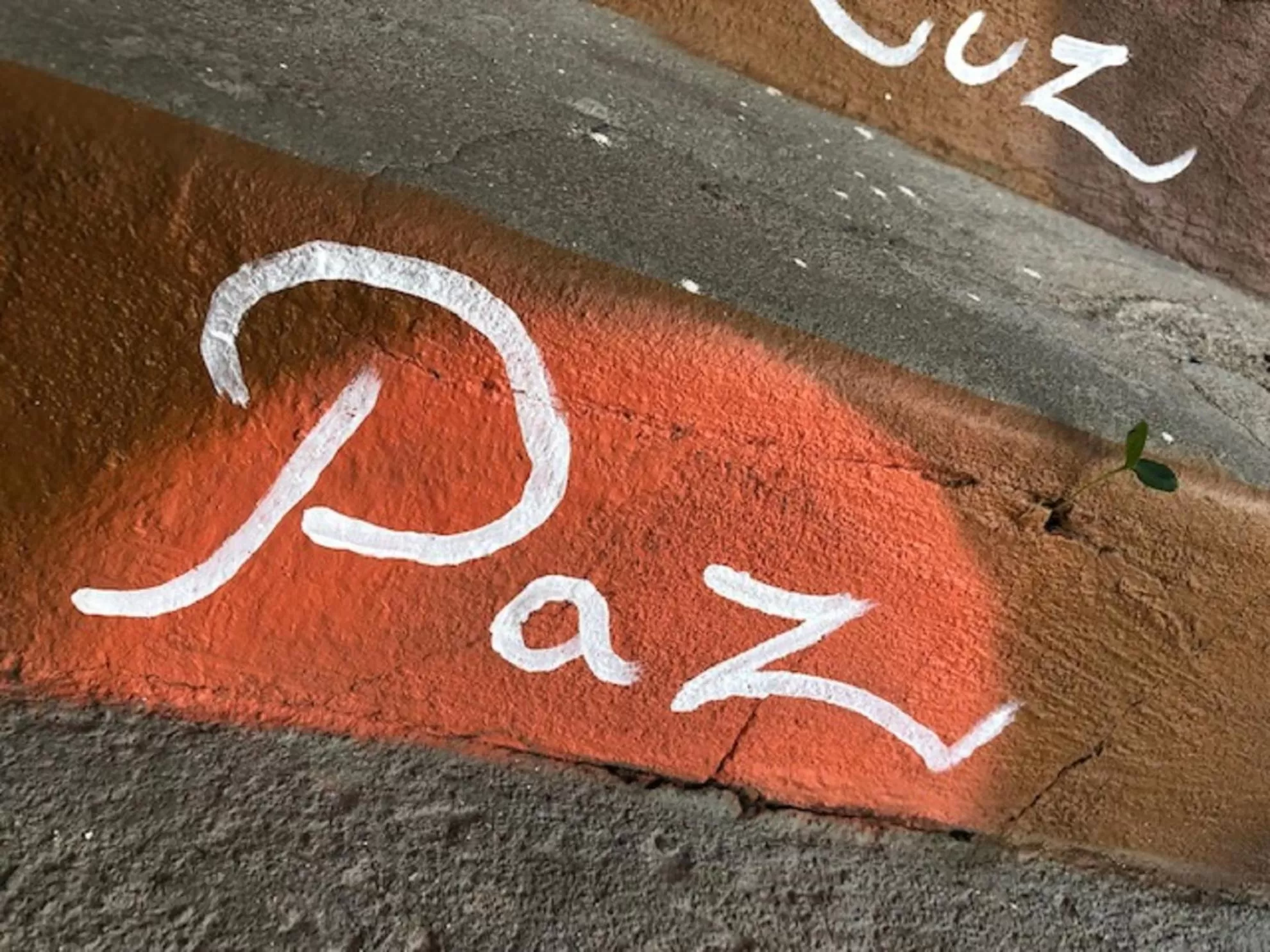 Day, Property Logo/Sign in Hostel Das Canárias