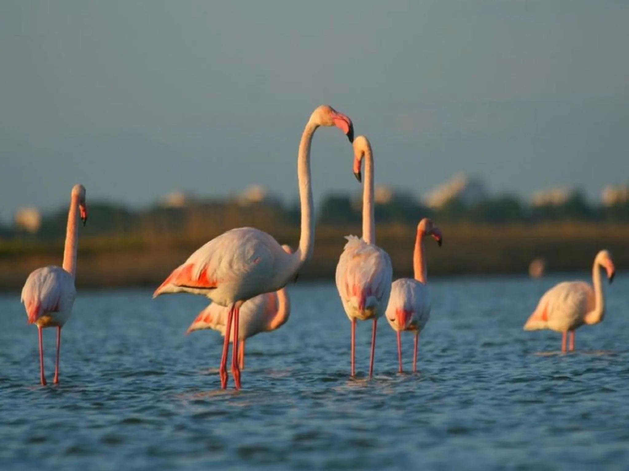 Natural landscape in Novotel Montpellier