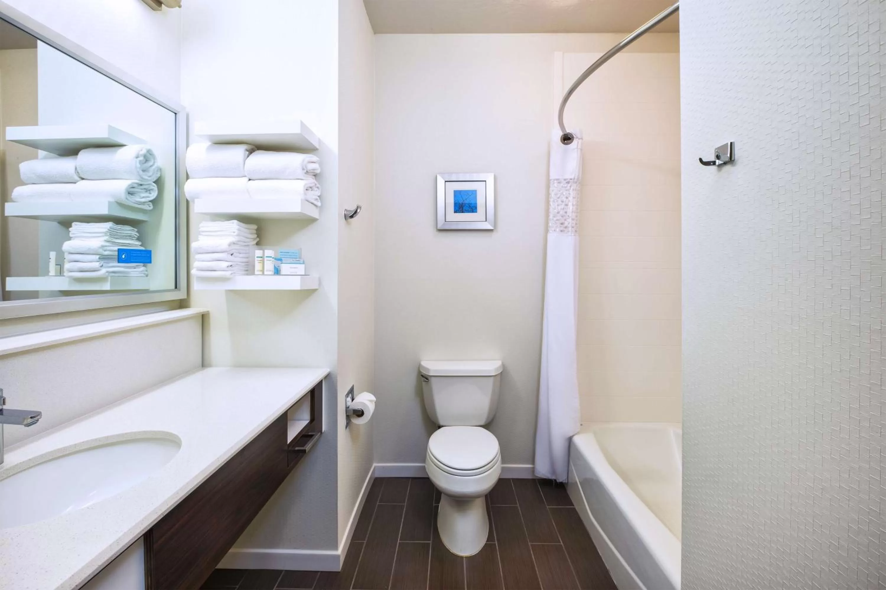 Bathroom in Hampton Inn & Suites Los Alamos