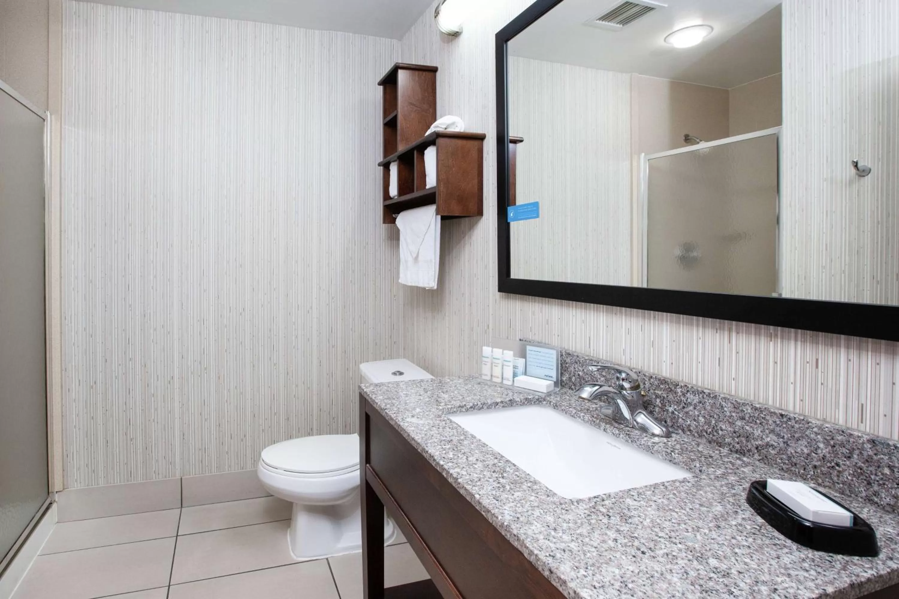 Bathroom in Hampton Inn Monroe