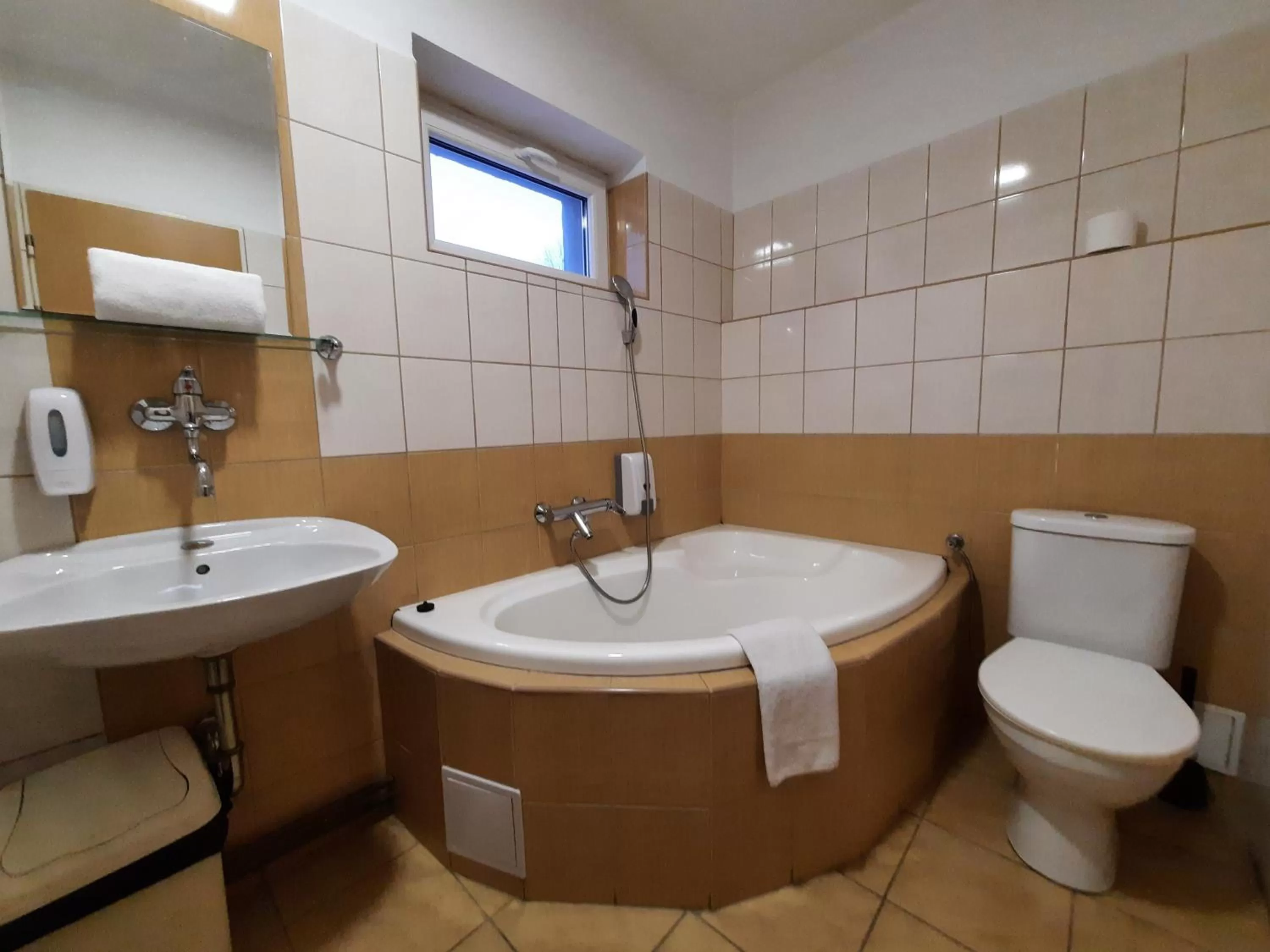 Toilet in Hotel Boršičanka