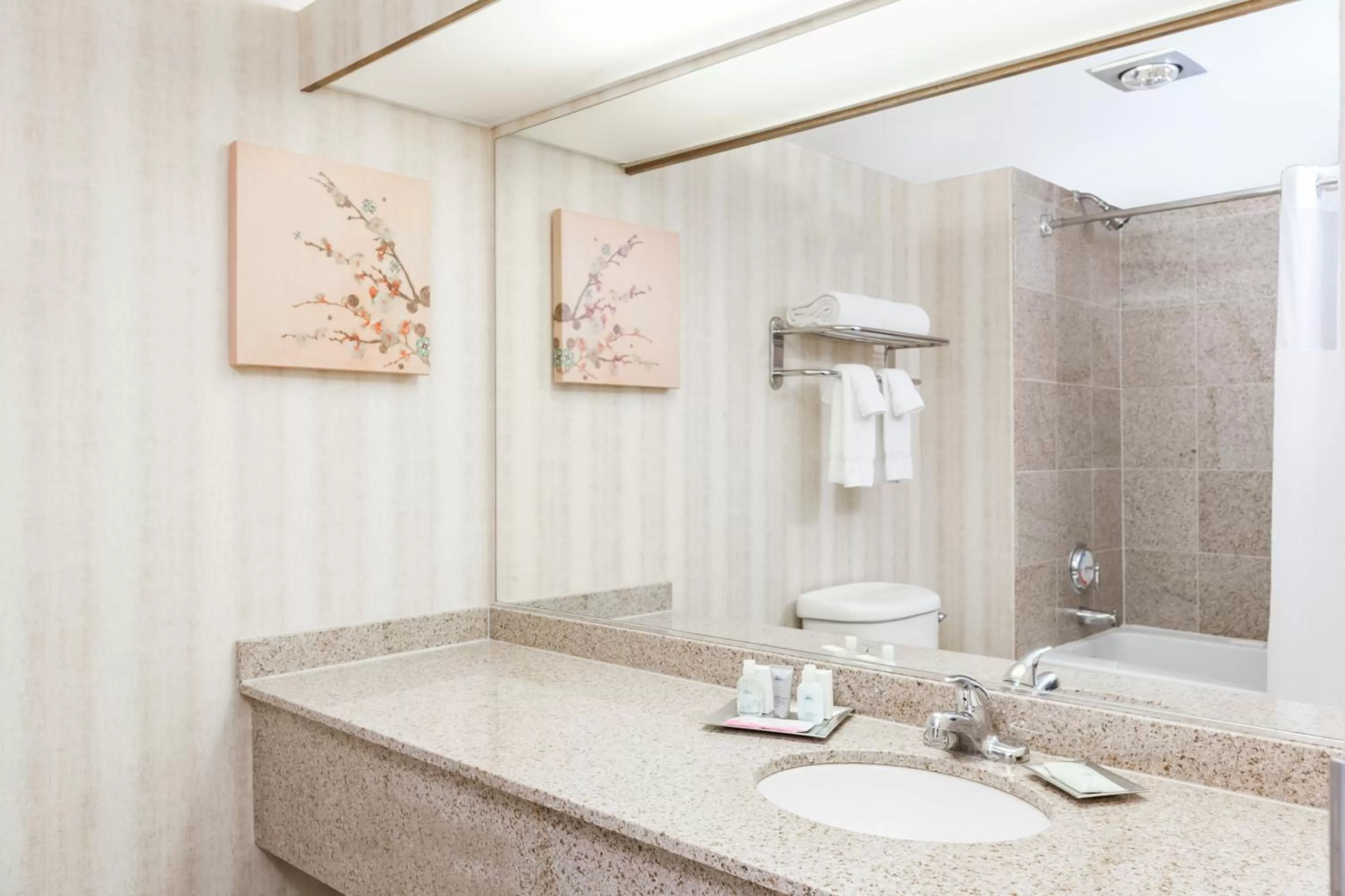 Bathroom in Wyndham Indianapolis Airport