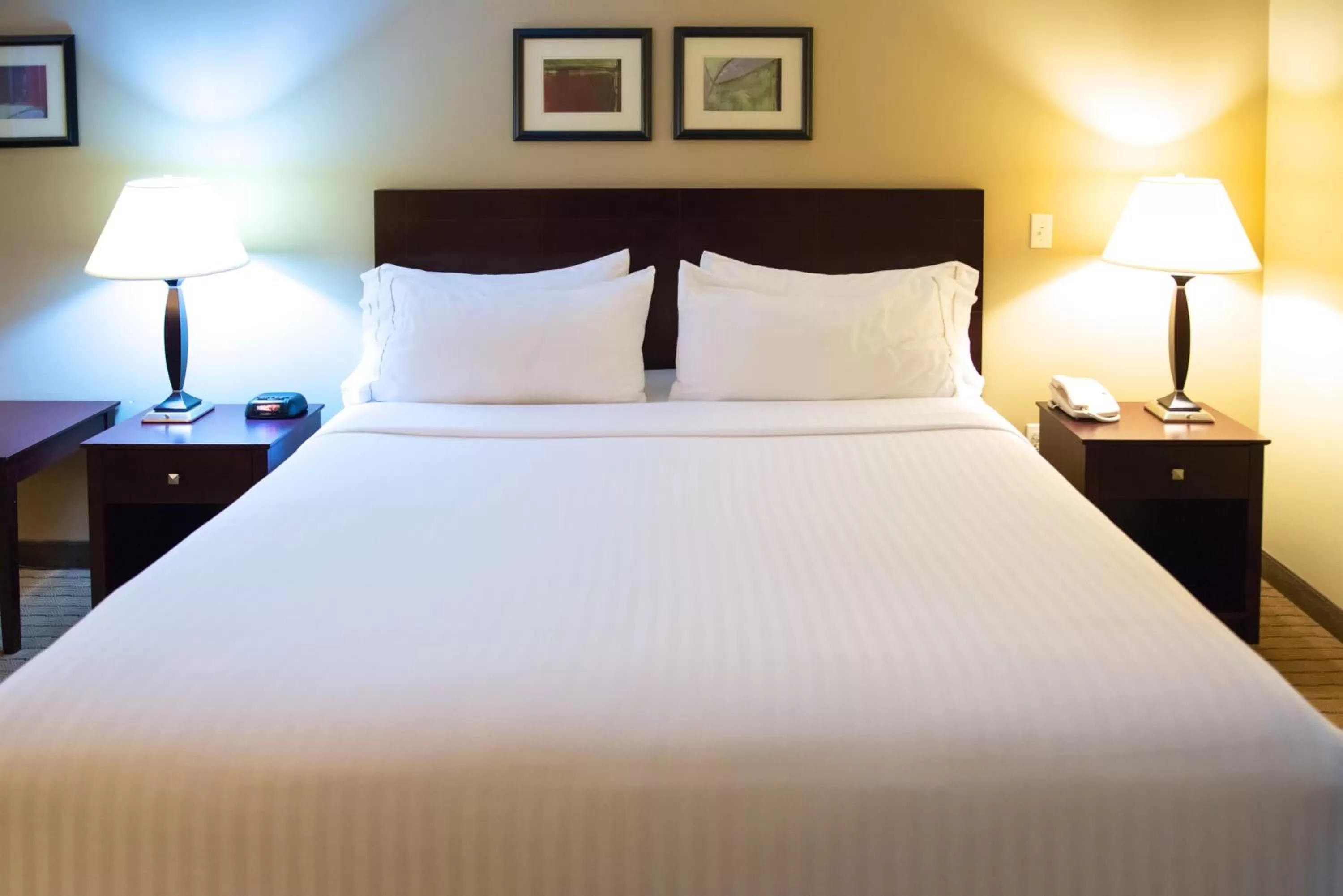 Photo of the whole room, Bed in Holiday Inn Express Devils Lake by IHG