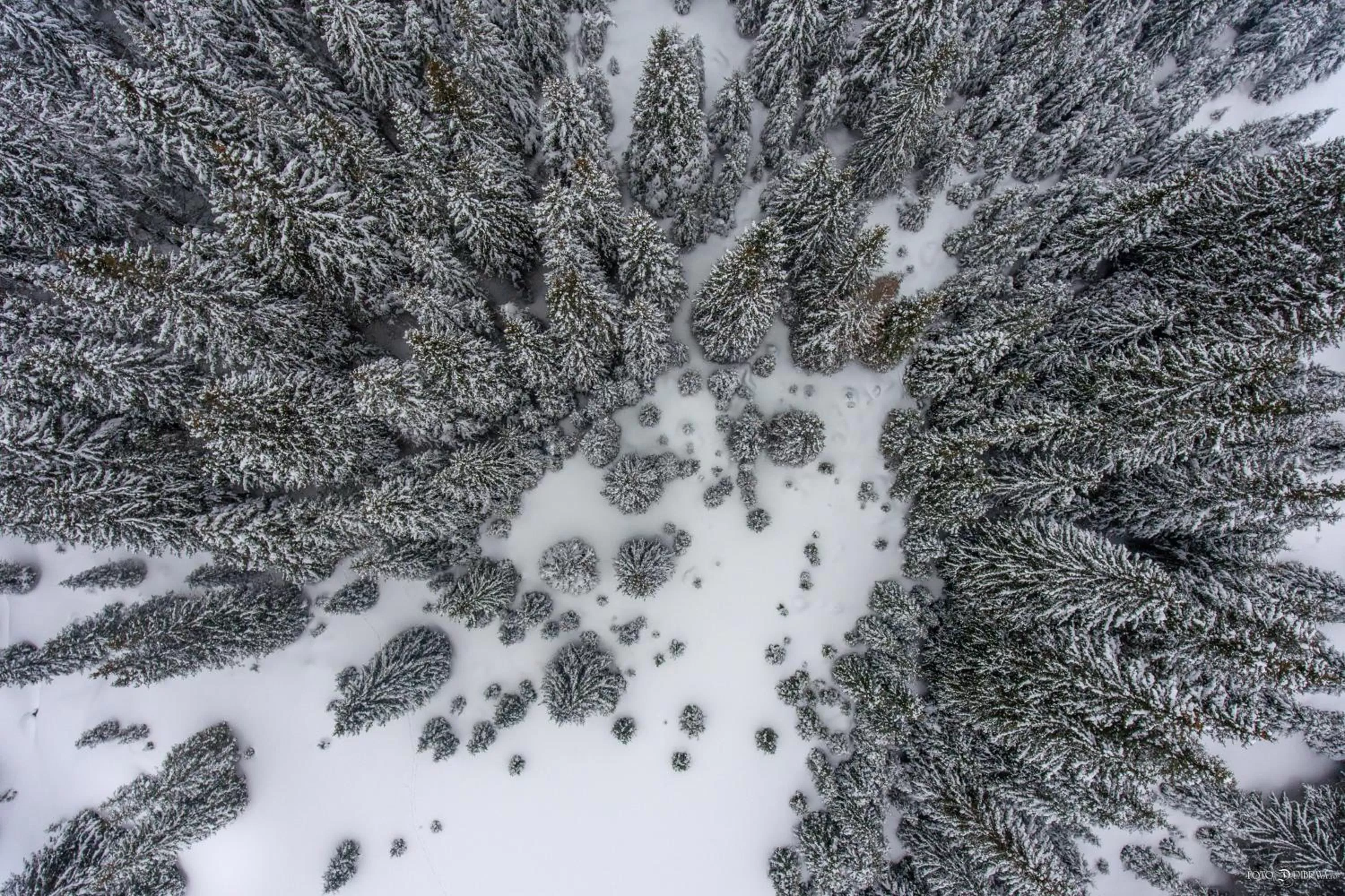 Property building in Hotel Belmont & Spa