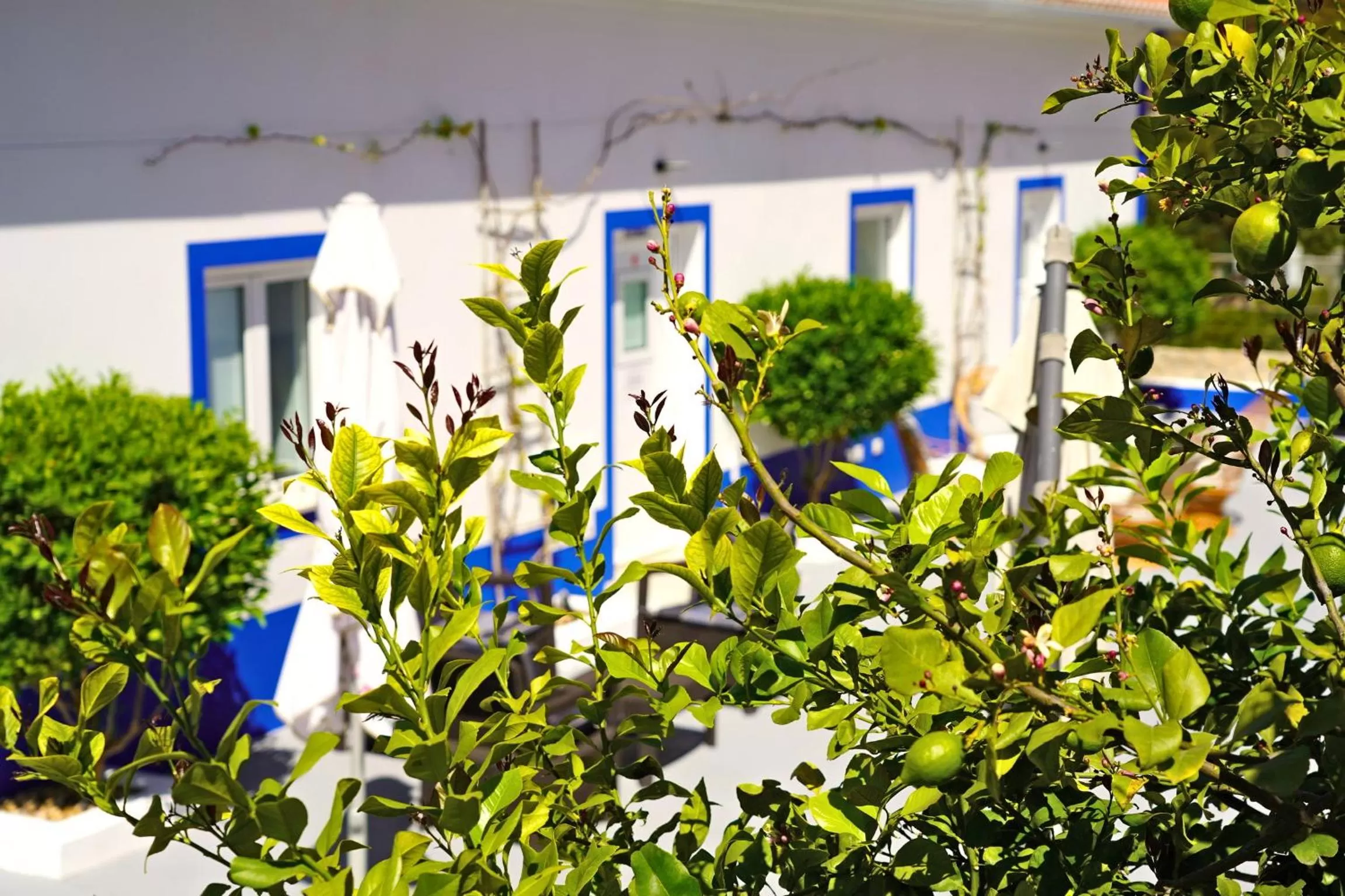 Property building in Carvoeiro B&B and SPA