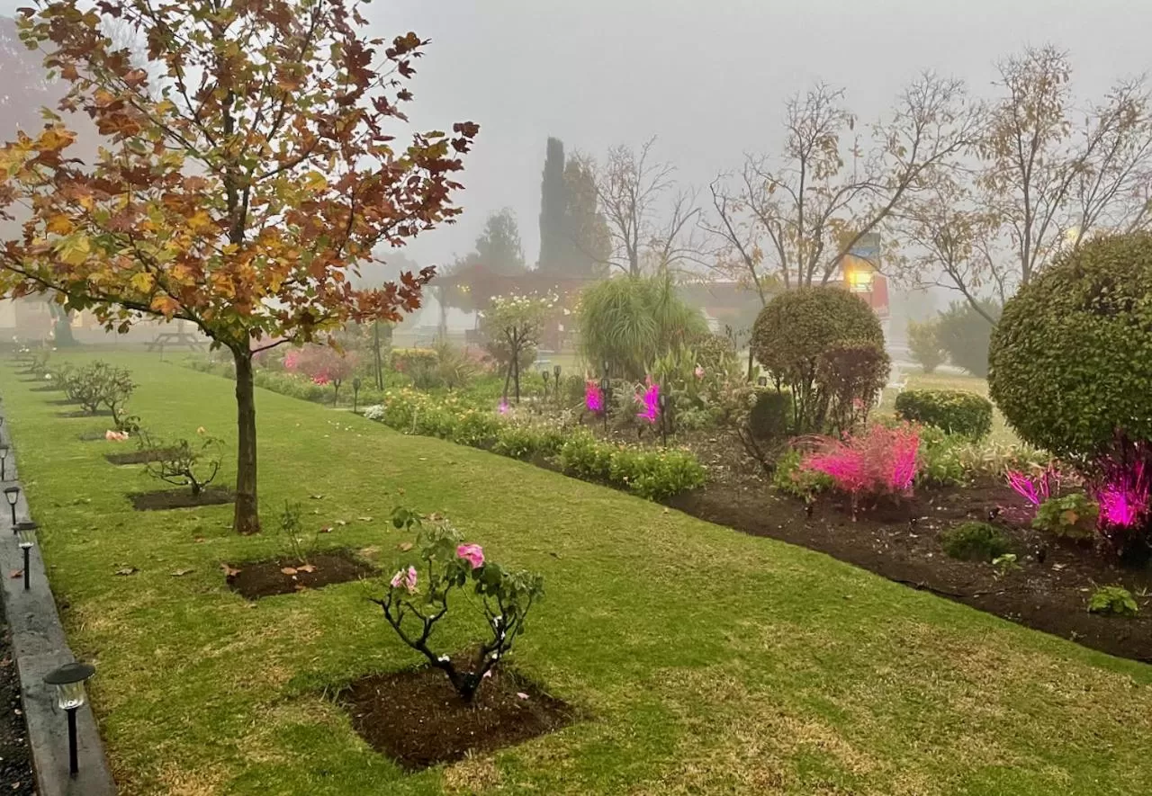 Winter in Quirindi Sunflower Motor Inn