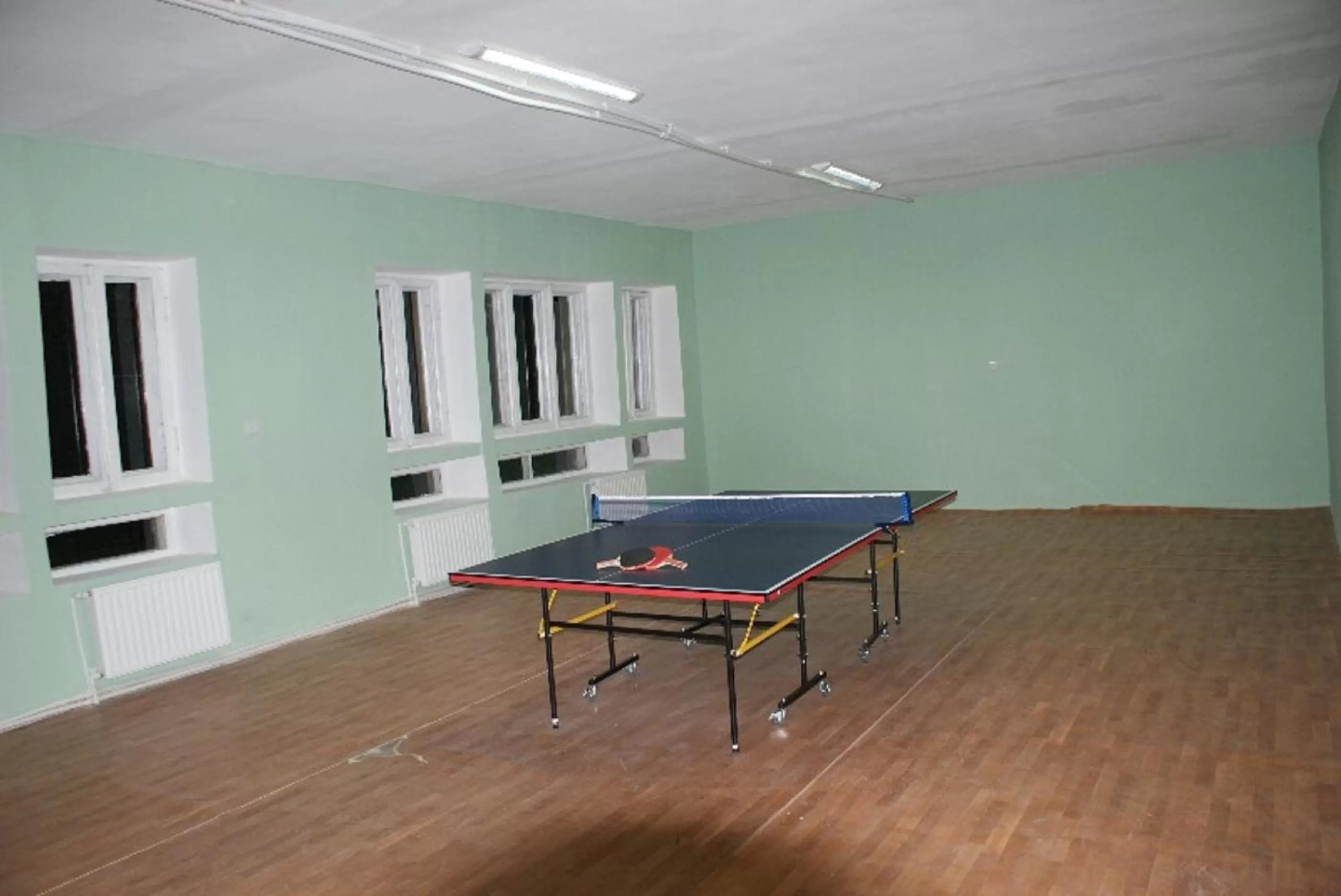 Game Room, Table Tennis in Odzun Hotel