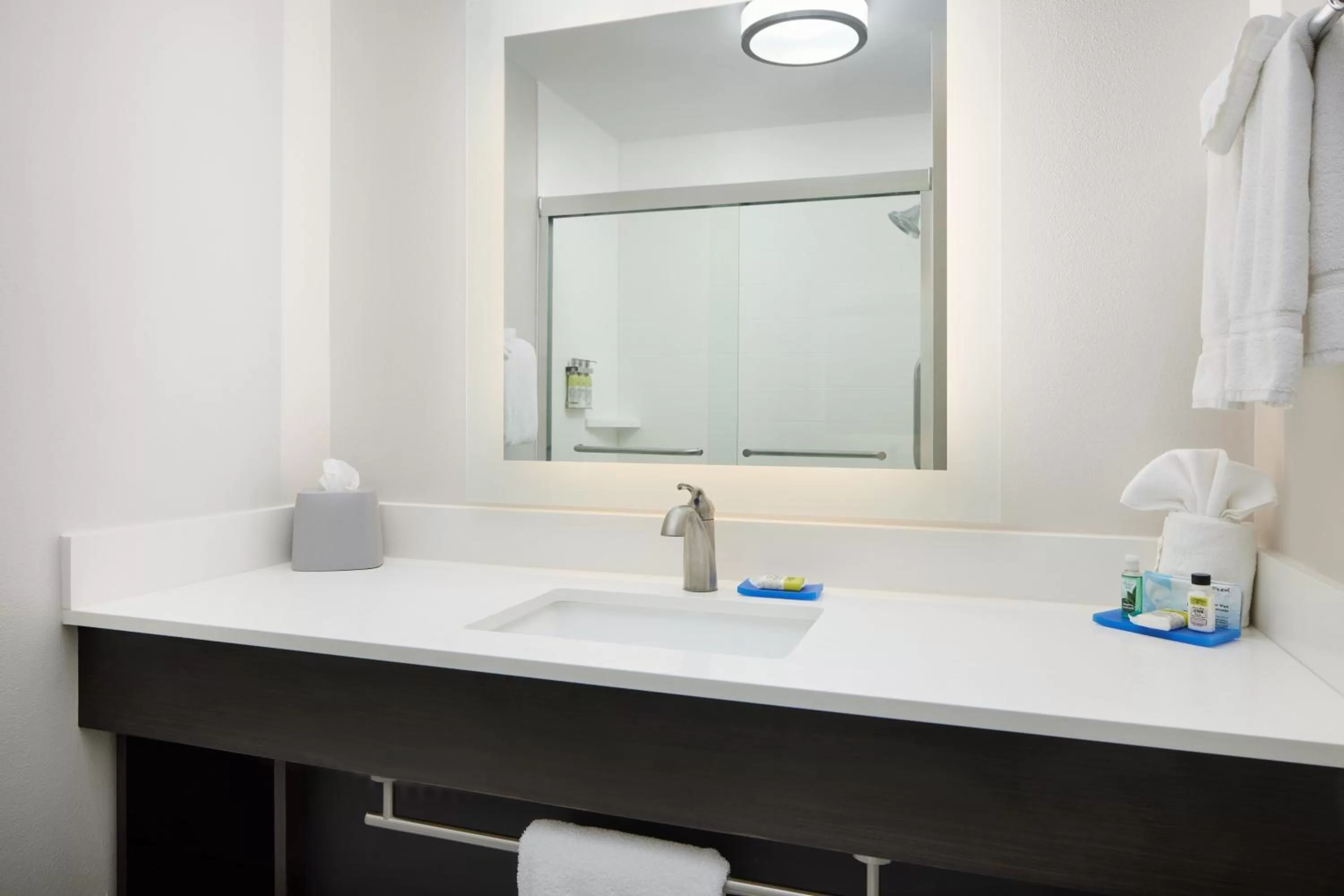 Bathroom in Holiday Inn Express & Suites - Valdosta by IHG