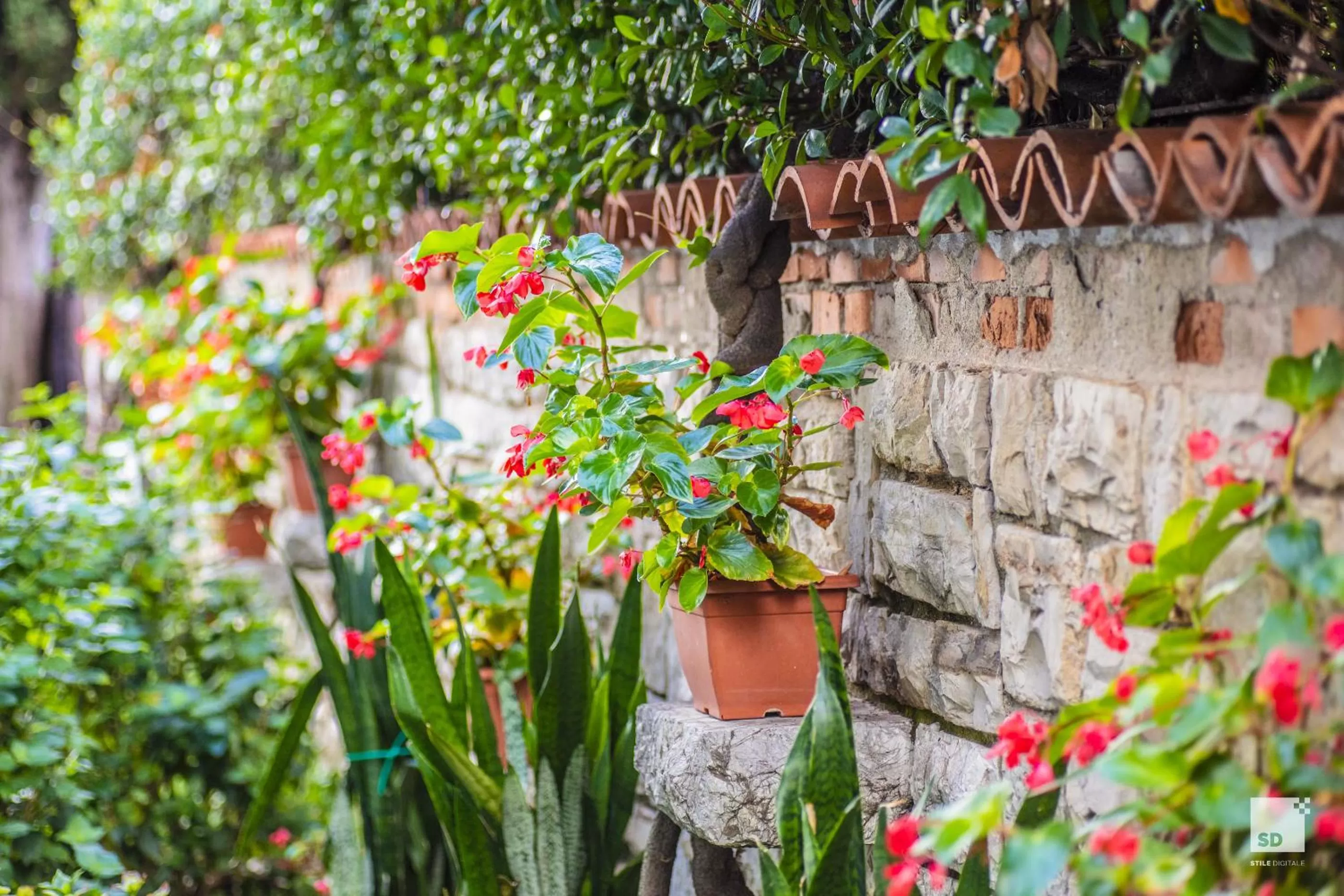 Property building in Hotel Alessandro Della Spina