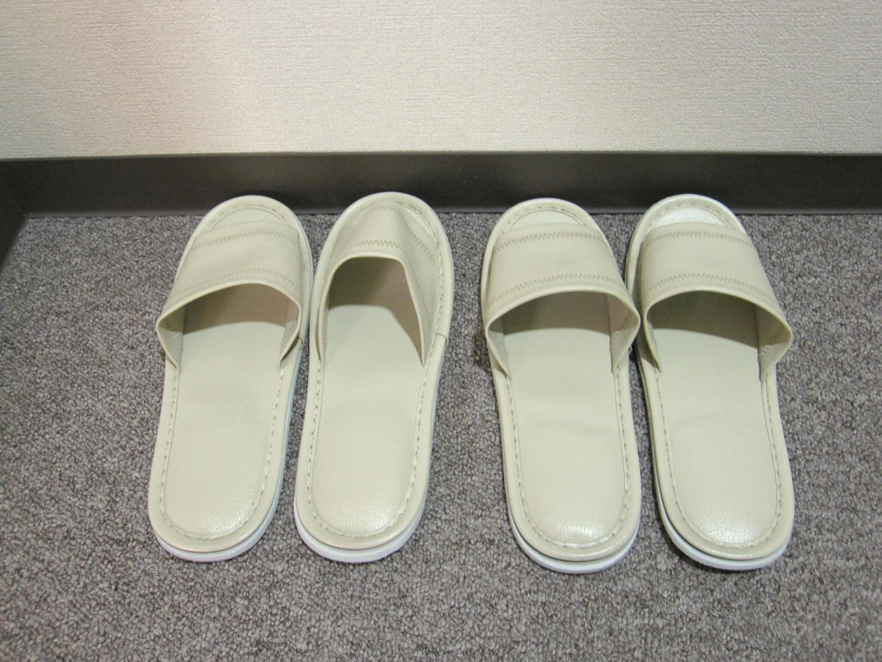 Other in Toyohashi Station Hotel