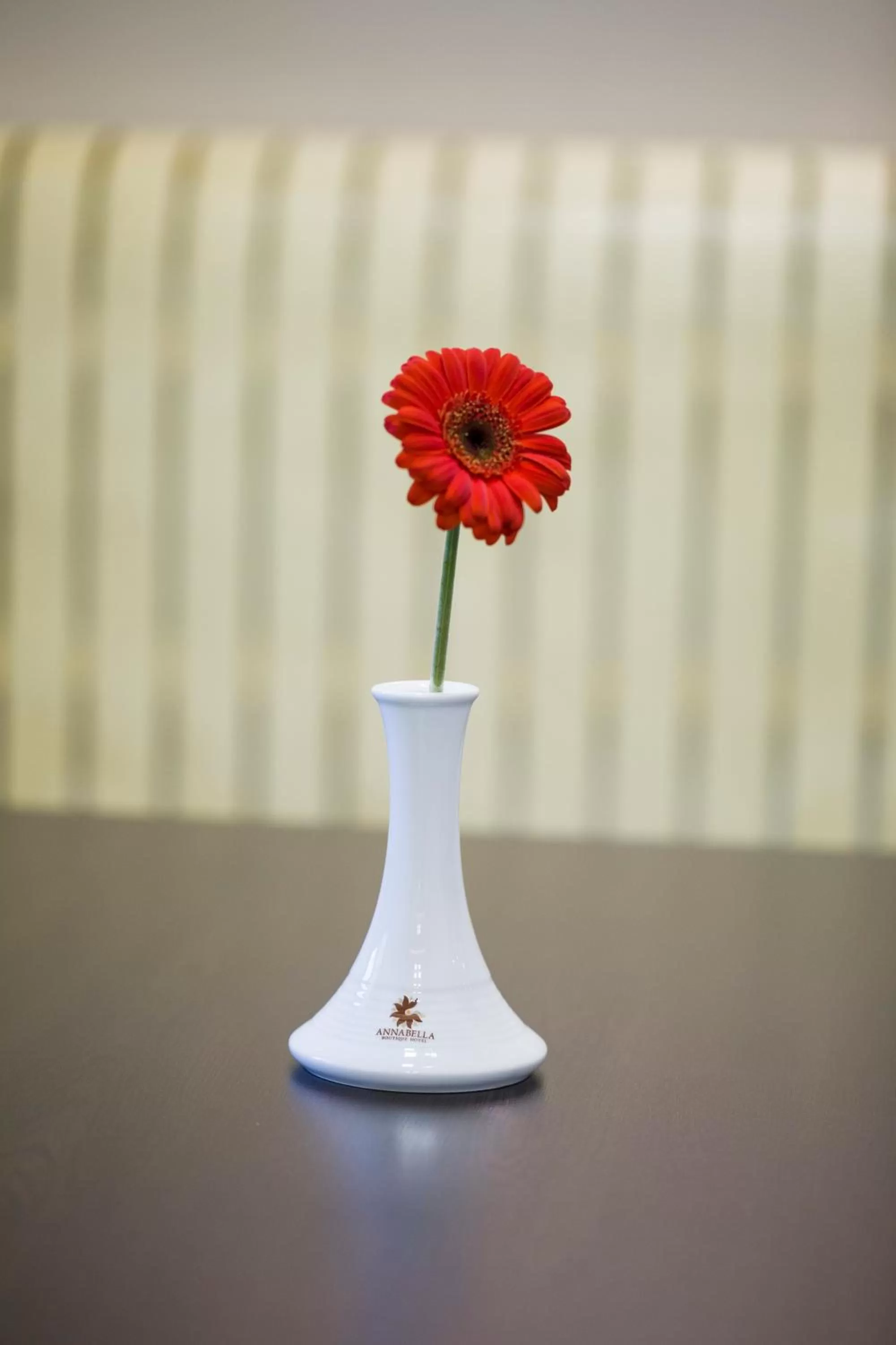 AnnaBella Boutique Hotel