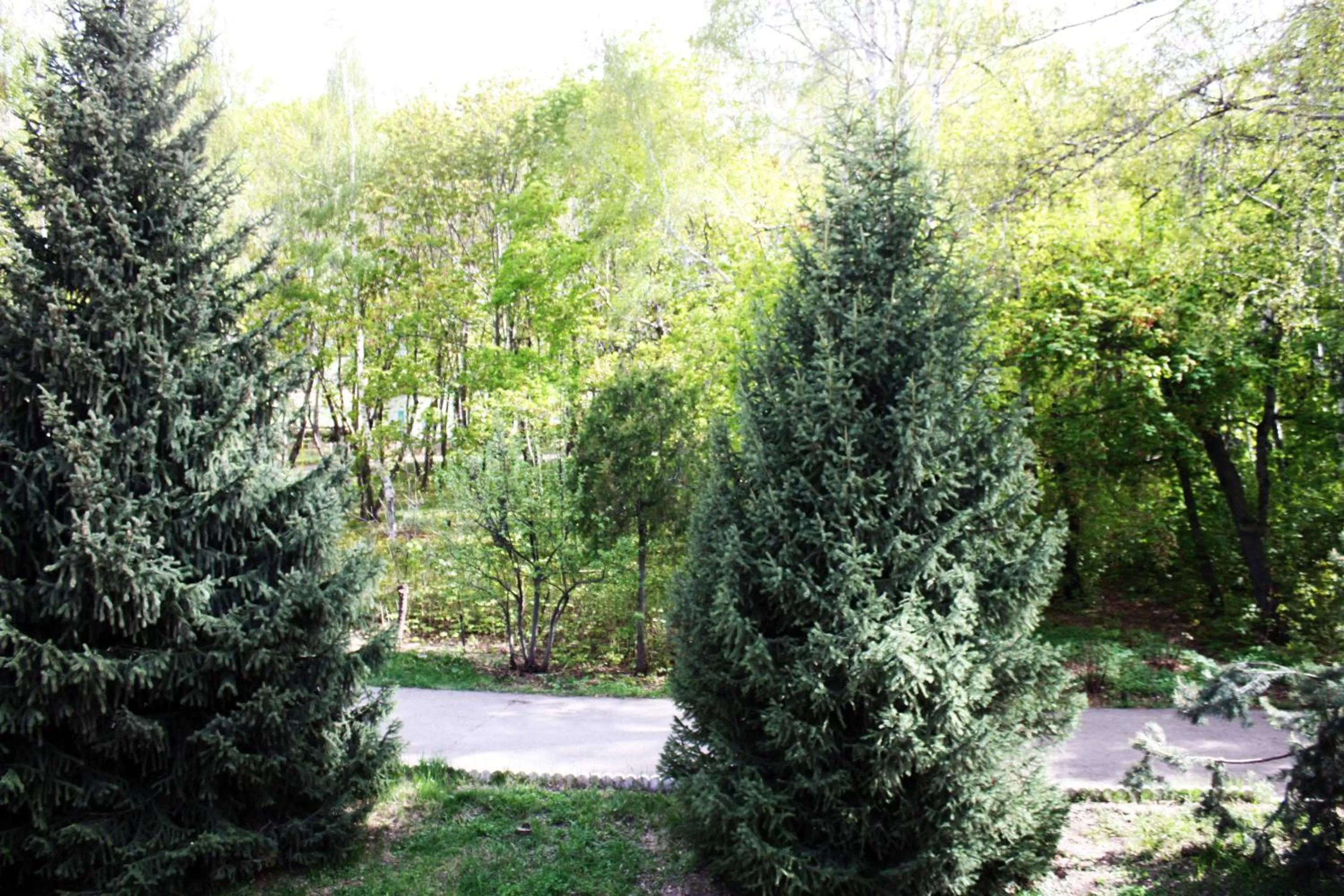 Garden view in Otel Issyk-Kul Karakol