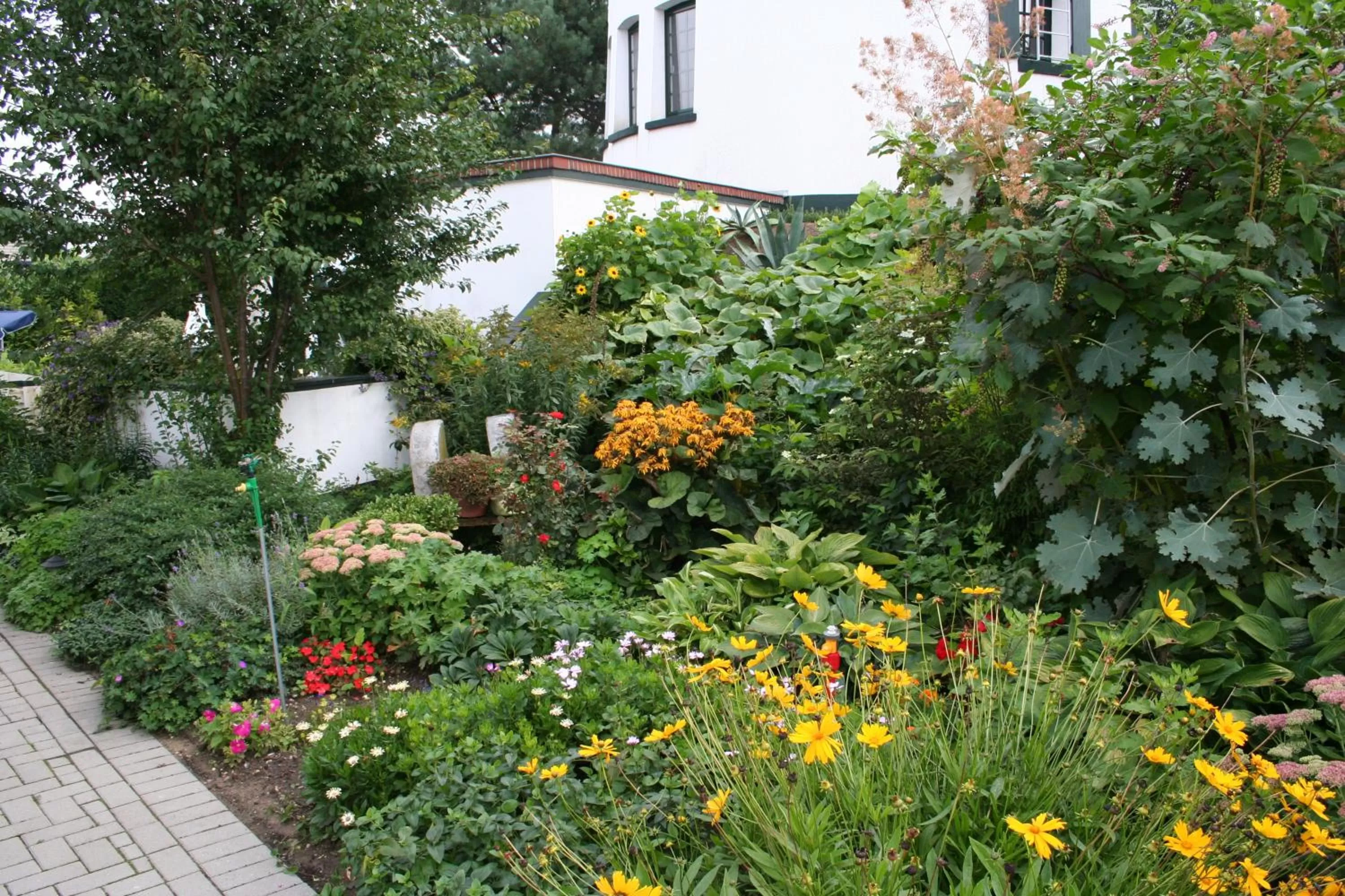Summer in De Witte Molen Kranenburg