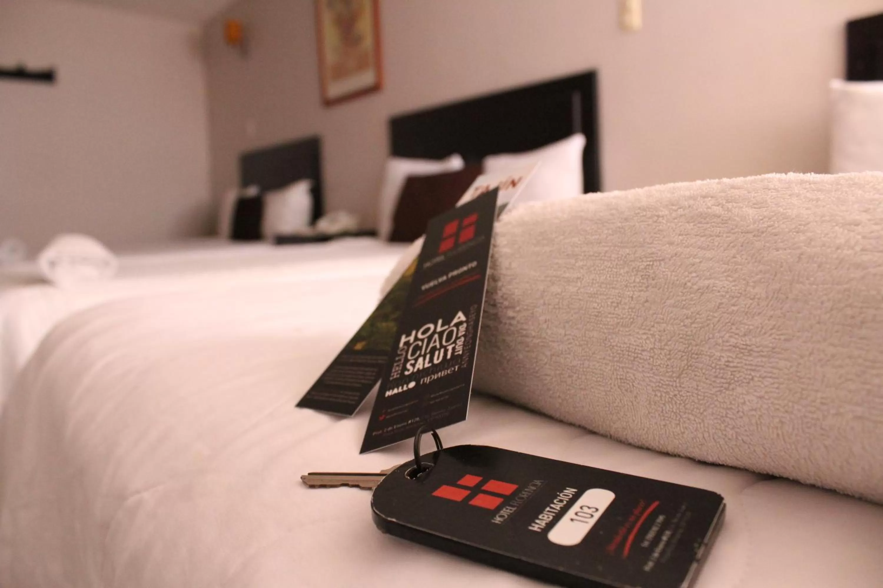 Decorative detail, Bed in Hotel Florencia Poza Rica