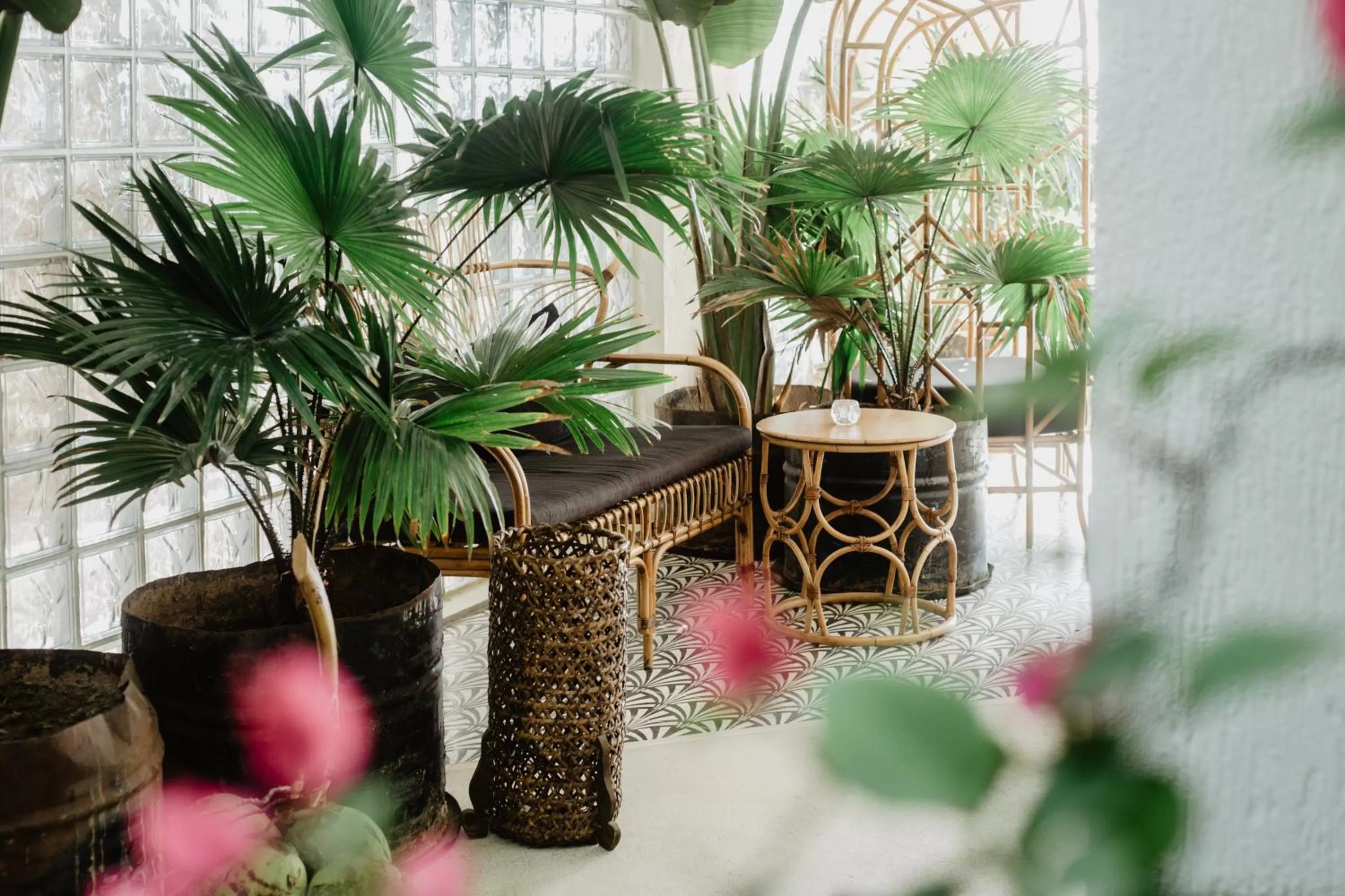 Day in Frangipani El Nido