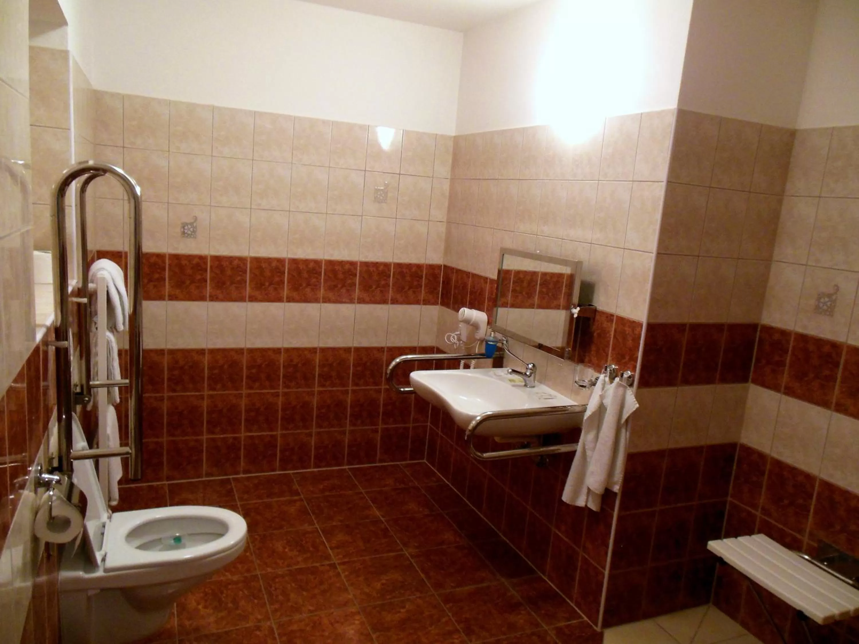 Bathroom in Hotel Palác
