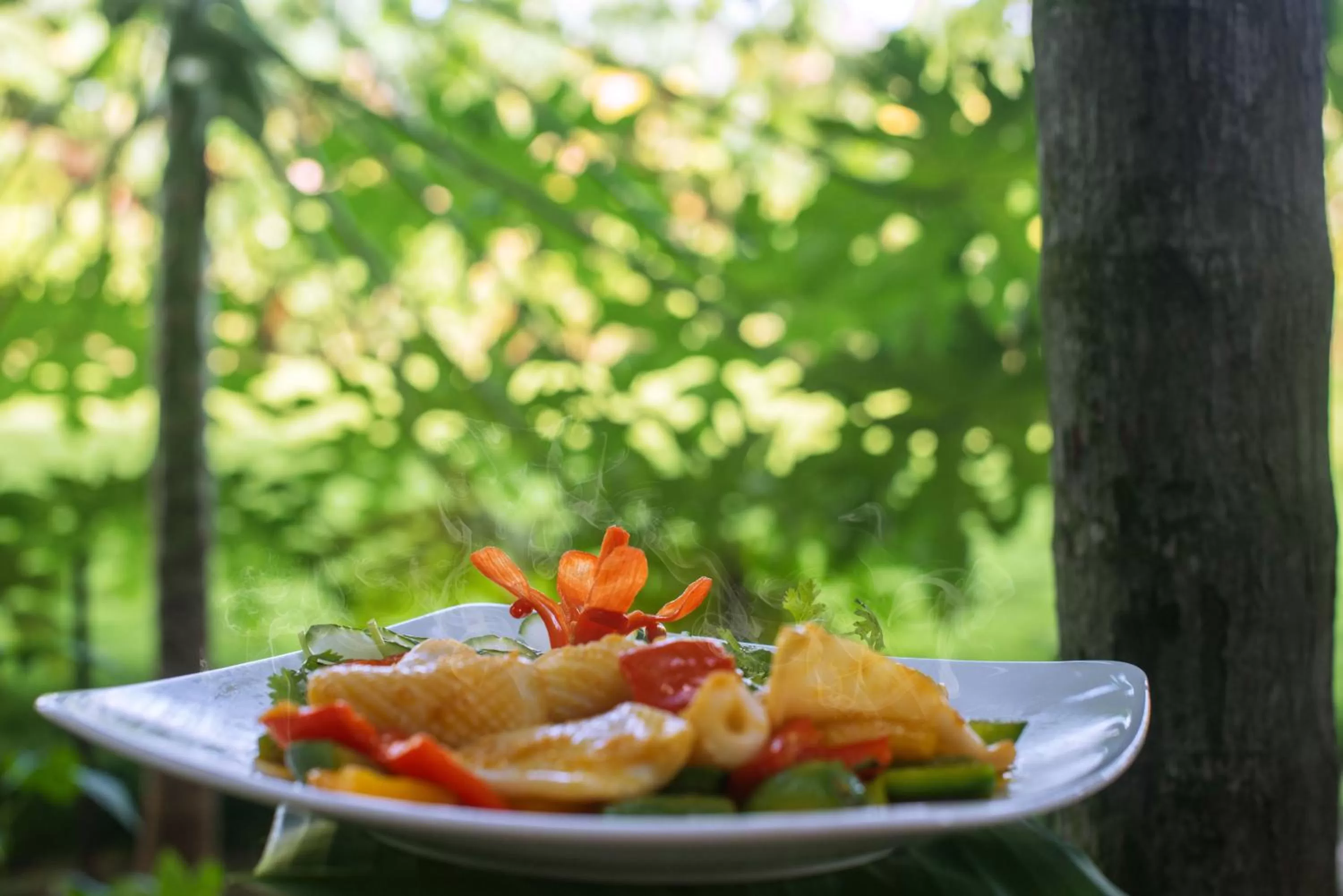 Food and drinks in Legacy Hoi An Resort - formerly Ancient House Village Resort & Spa