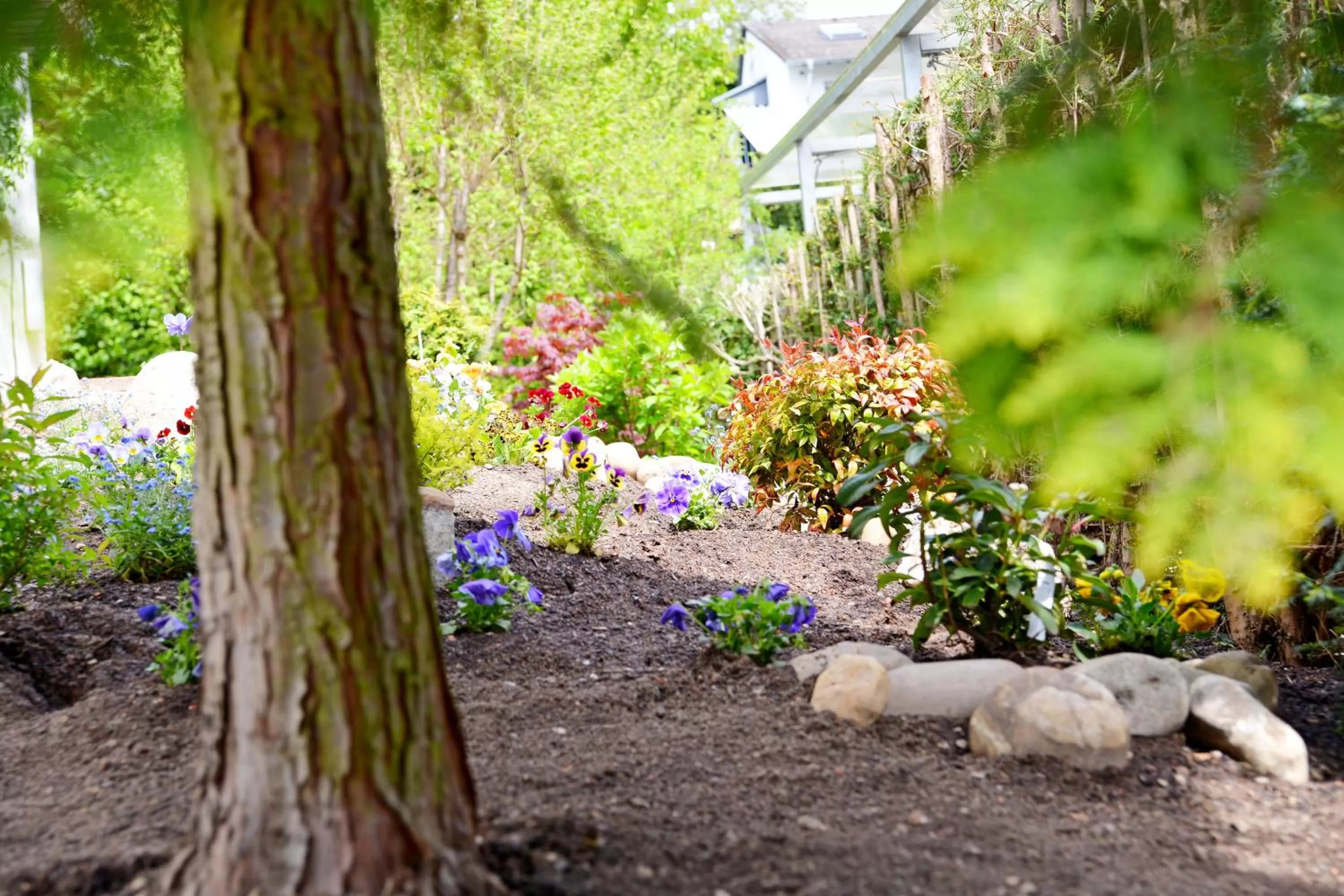 Garden in Apartments Stoll