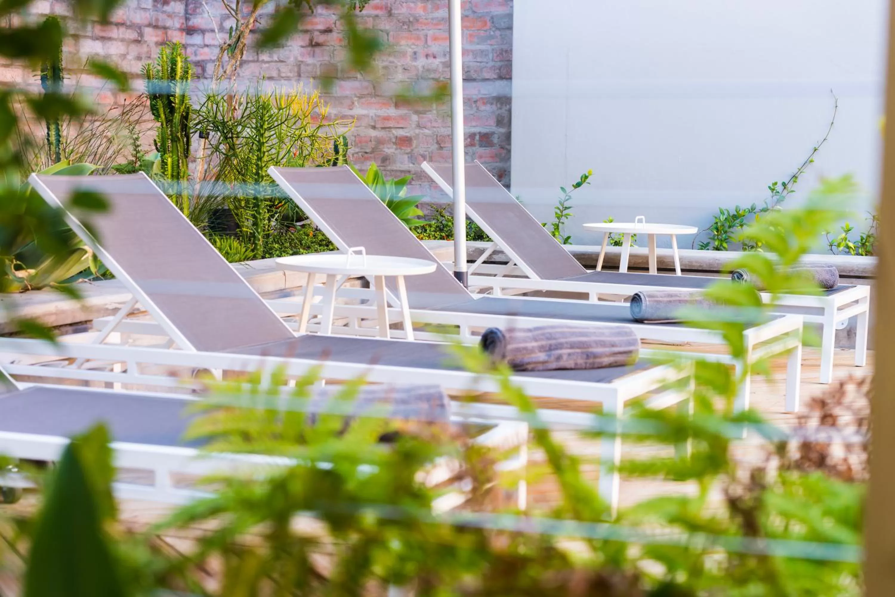 Swimming pool in aha The Rex Hotel