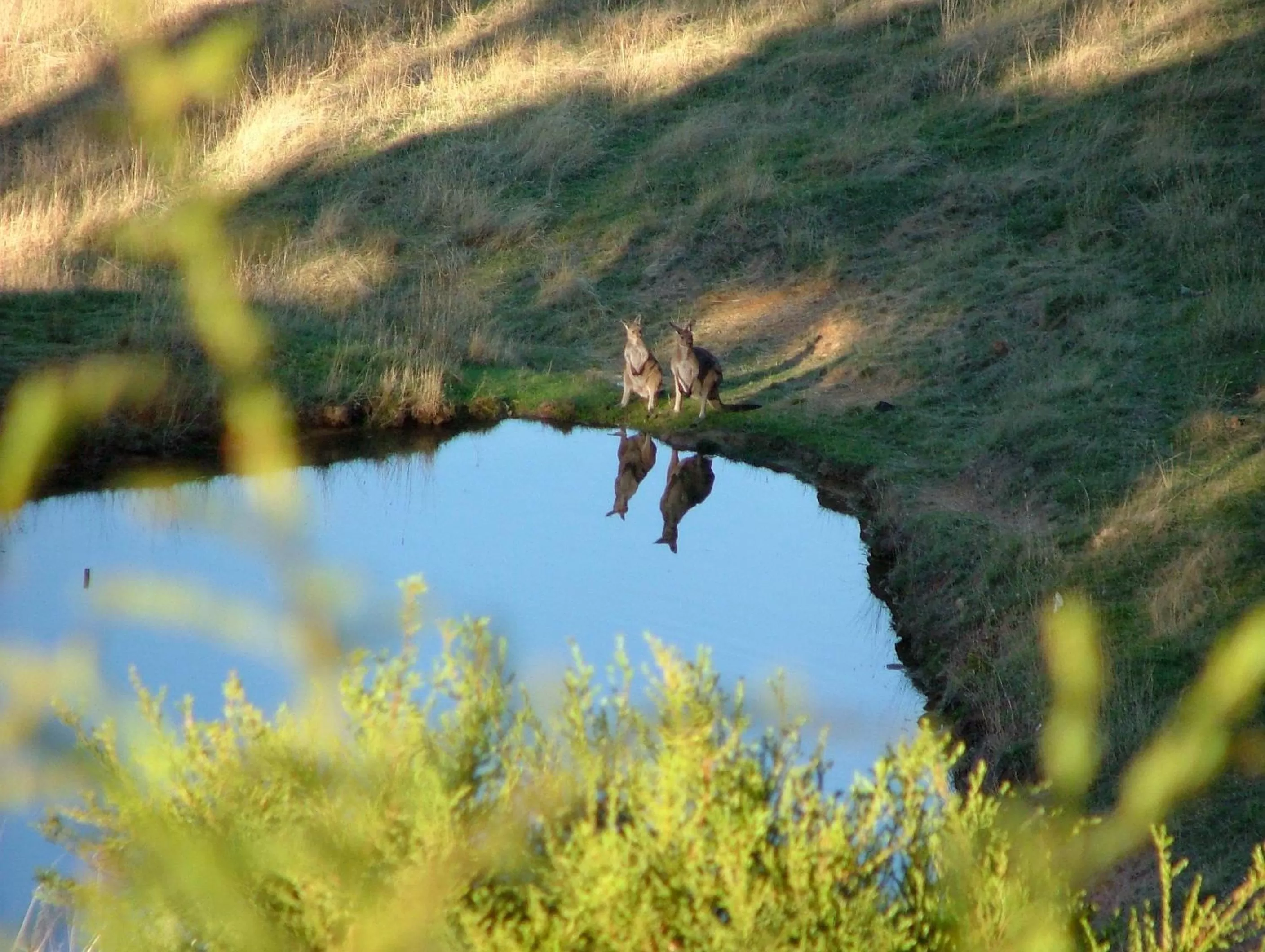 Area and facilities in Seascape Retreat