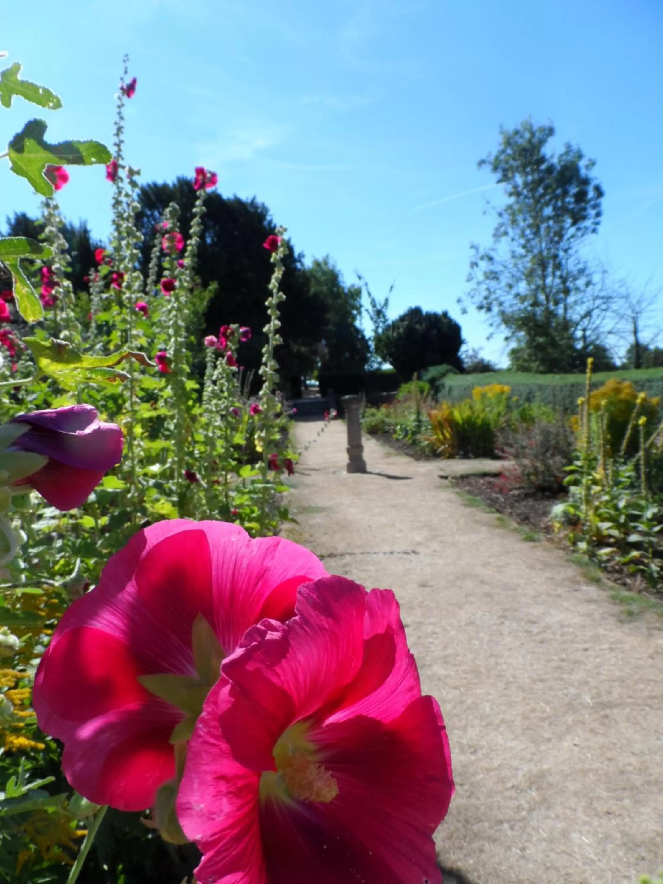 Garden in Stanton House Hotel