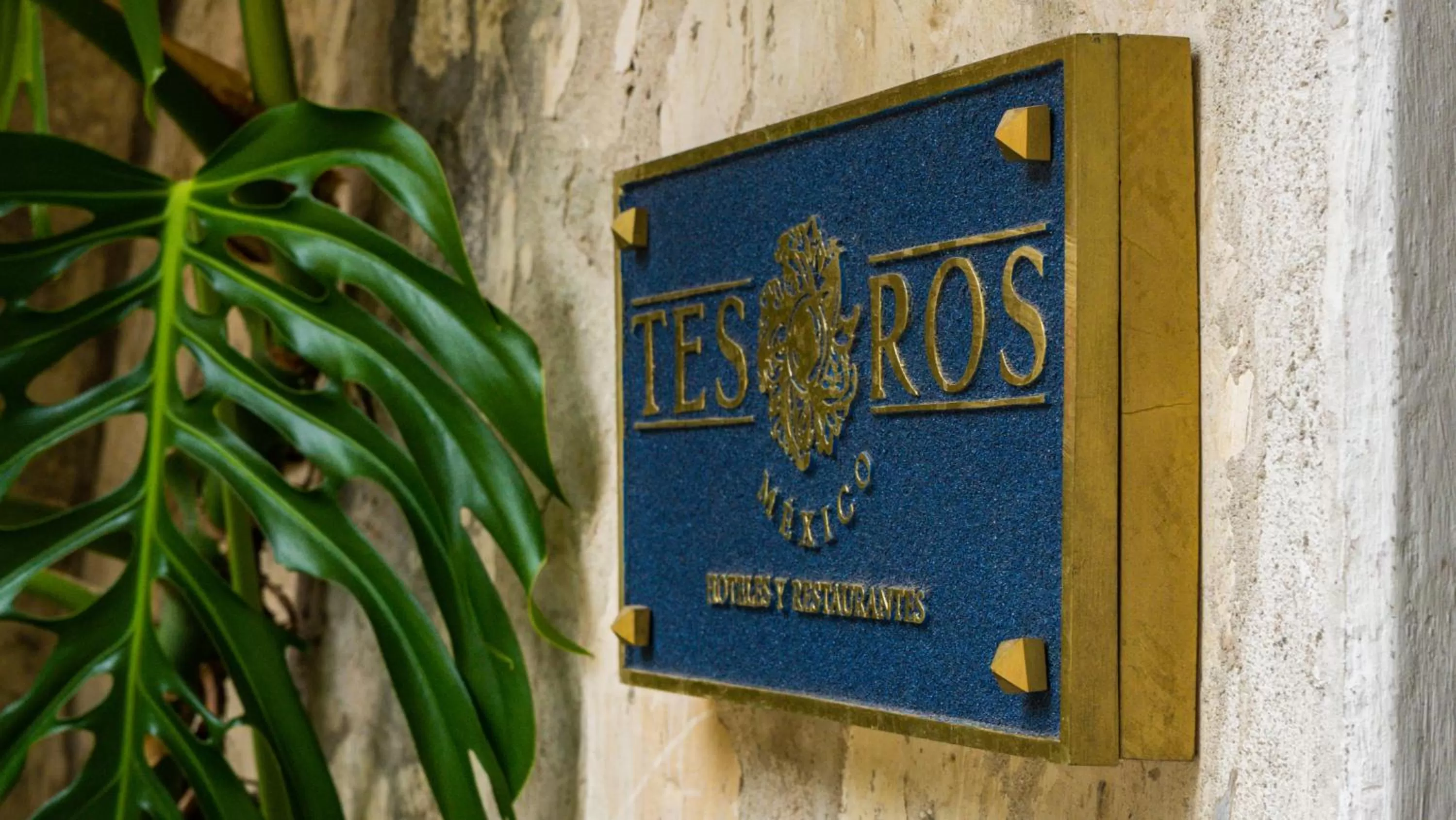 Logo/Certificate/Sign in Molino de los Reyes