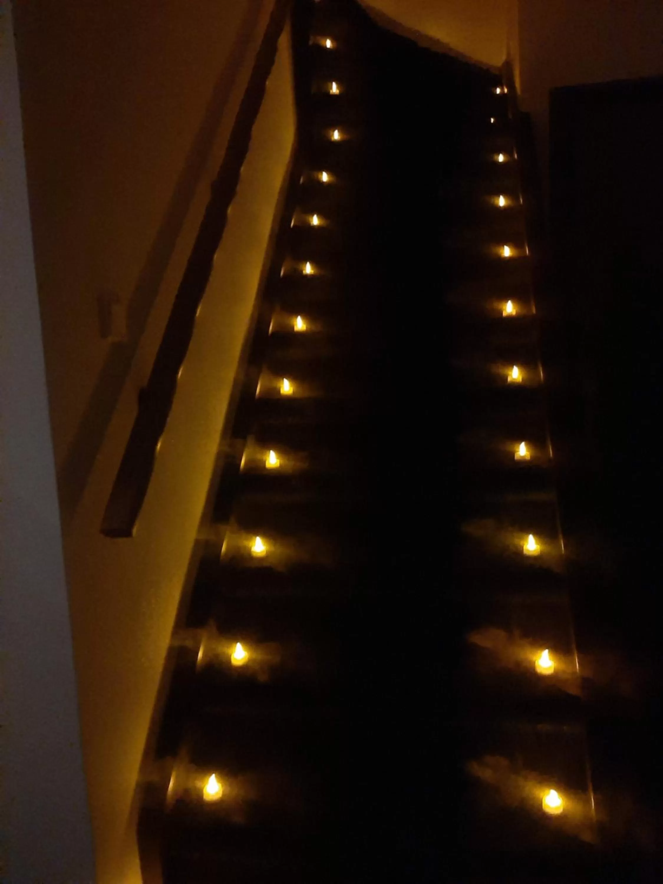 wedding in Bed and Breakfast Hans en Gridje