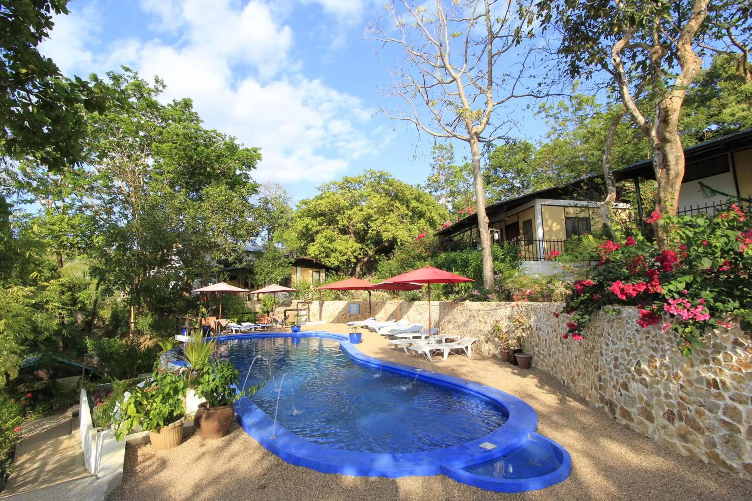 Swimming pool in Discovery Island Resort