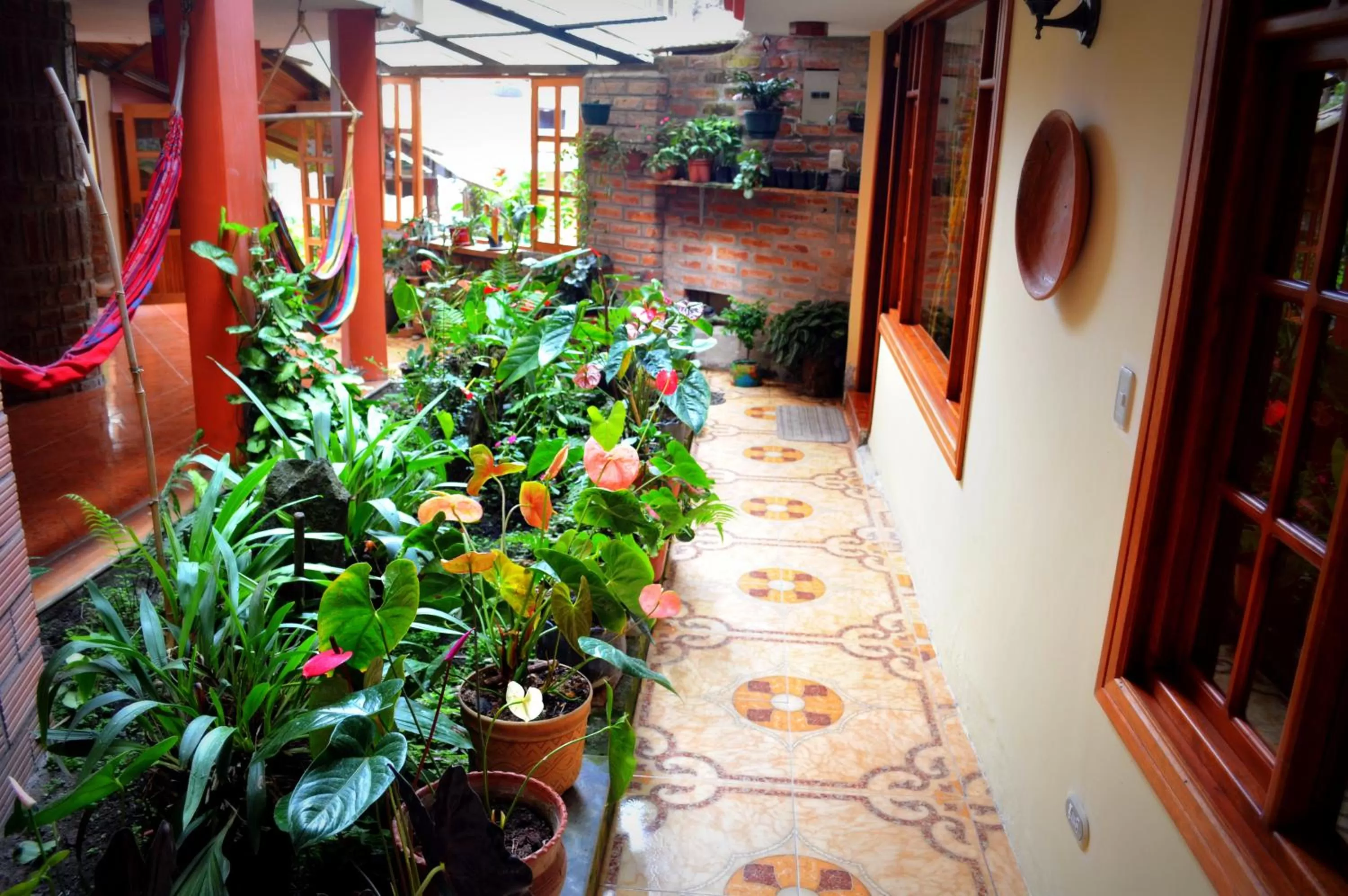 Day in Hotel Donde Ivan