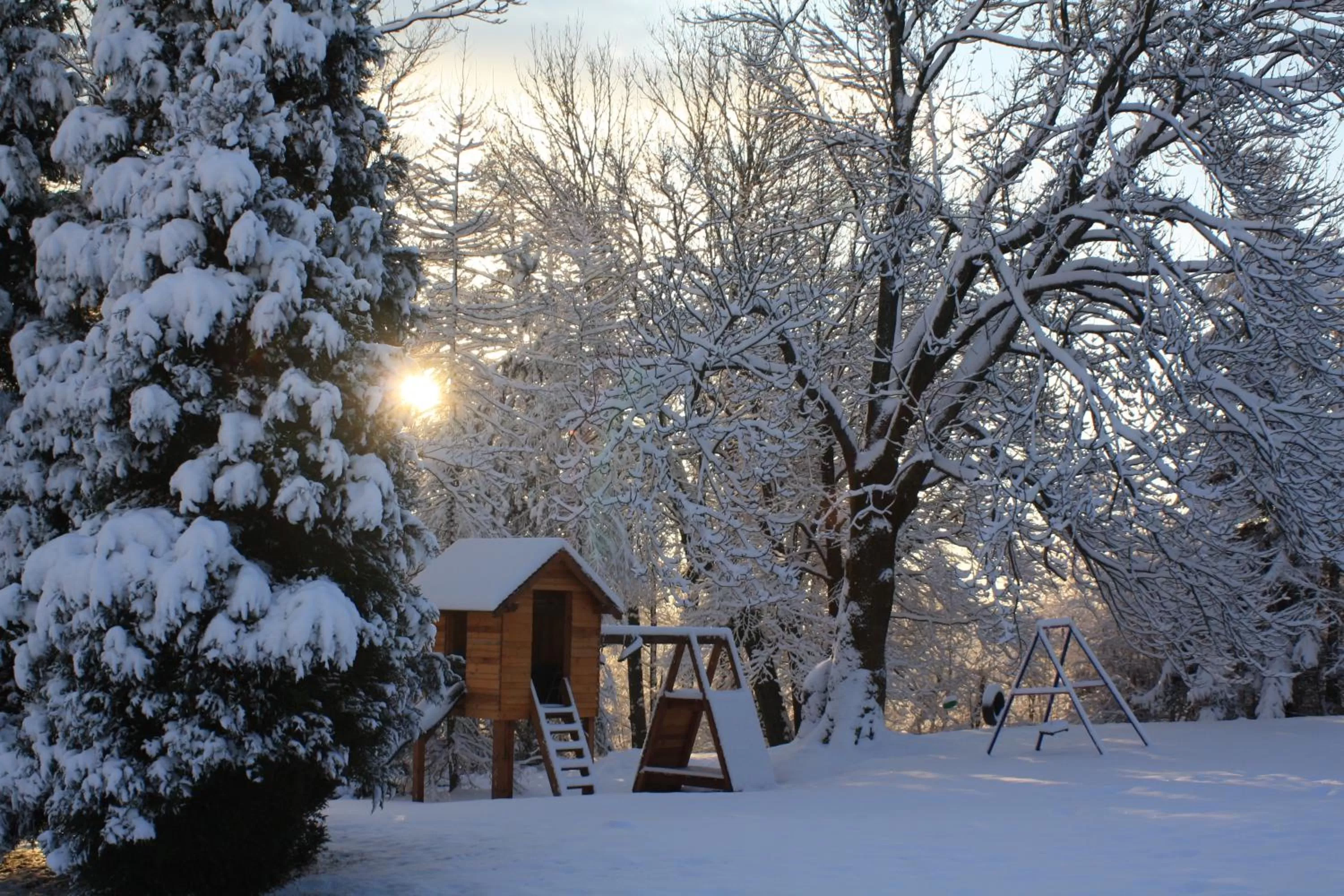 Garden, Winter in Dom na Klonowym Wzgórzu
