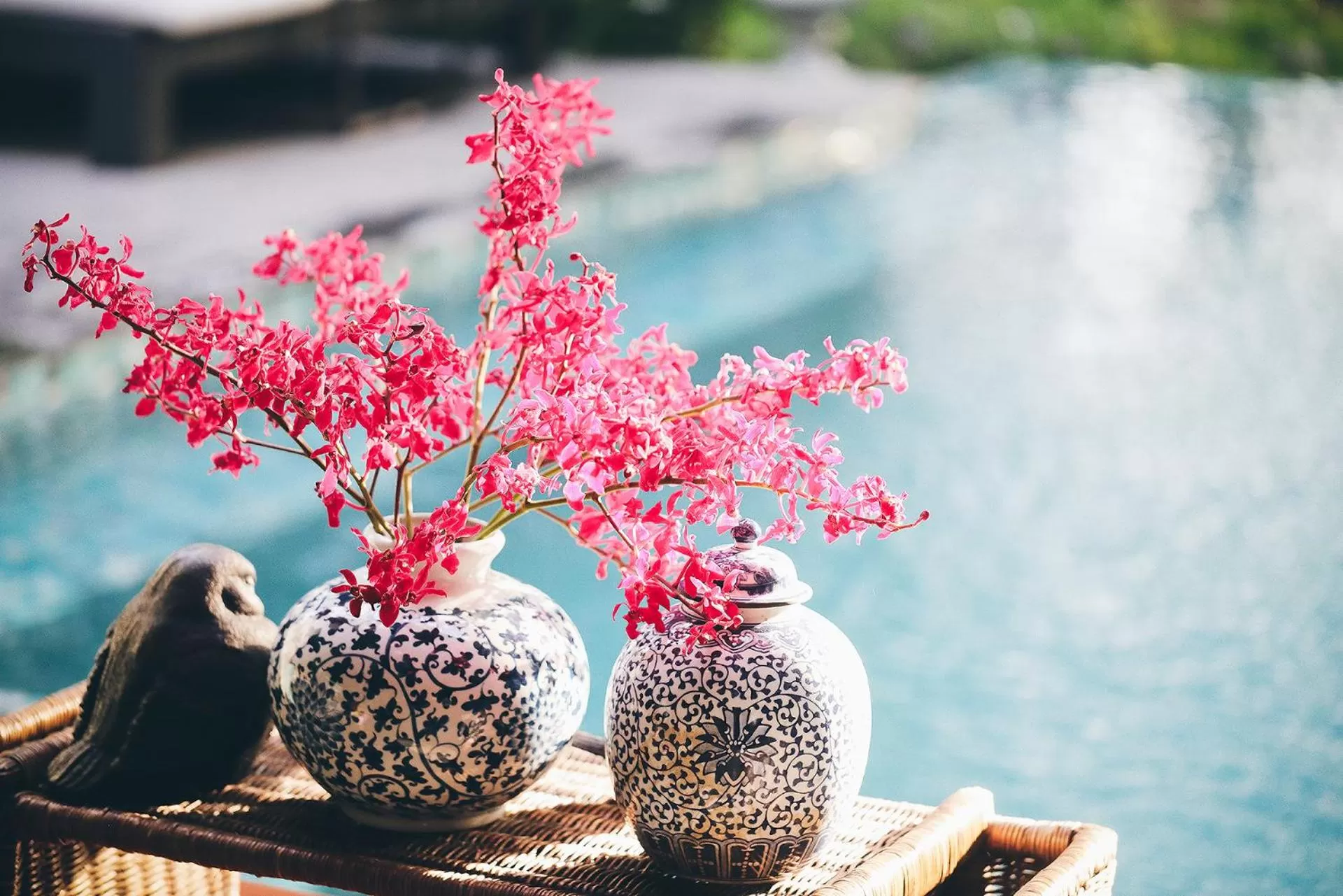 Garden view in The Raweekanlaya Bangkok Wellness Cuisine Resort