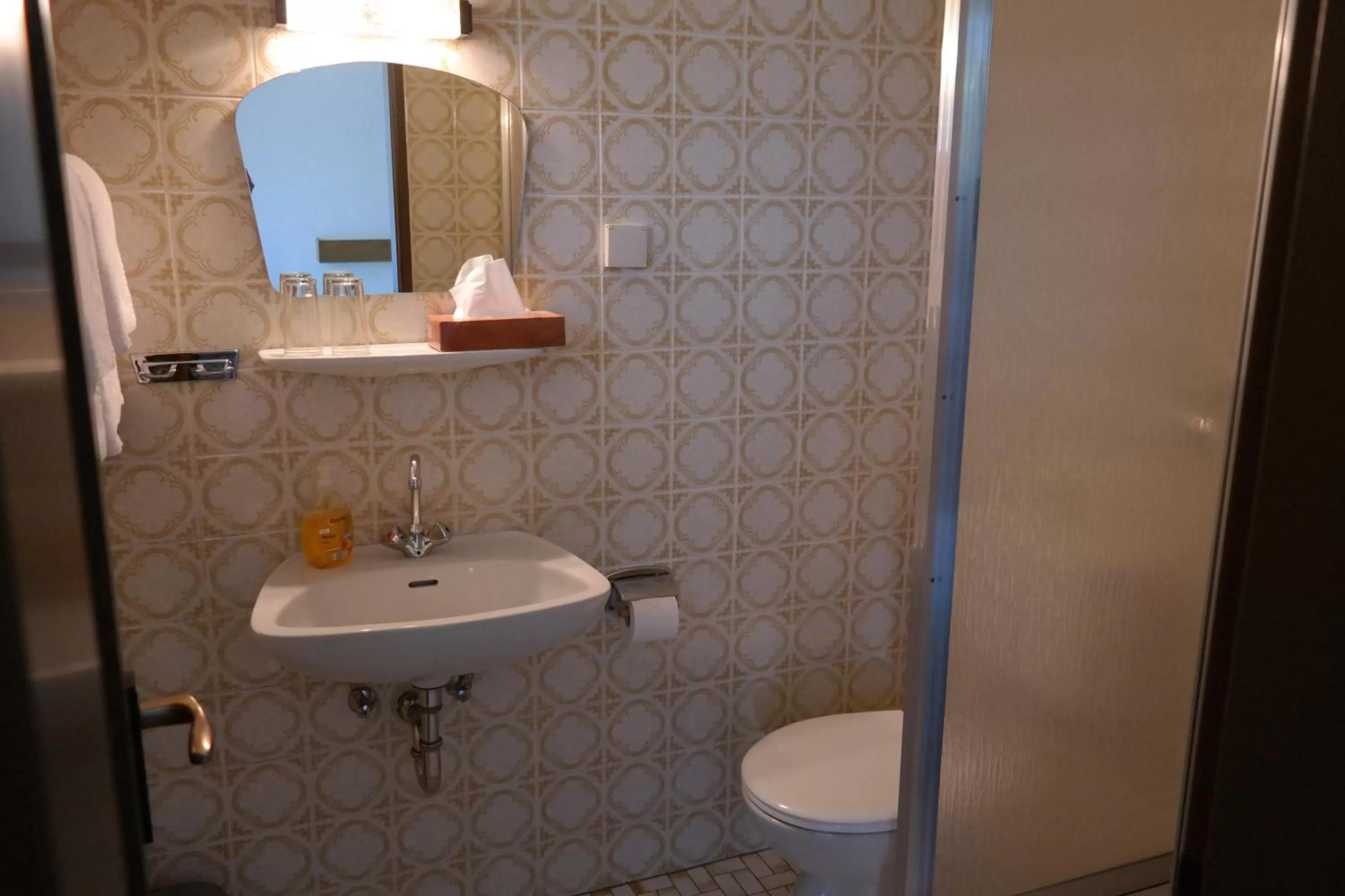 Toilet in Herzog's Ulsterbrücke Garni Hotel