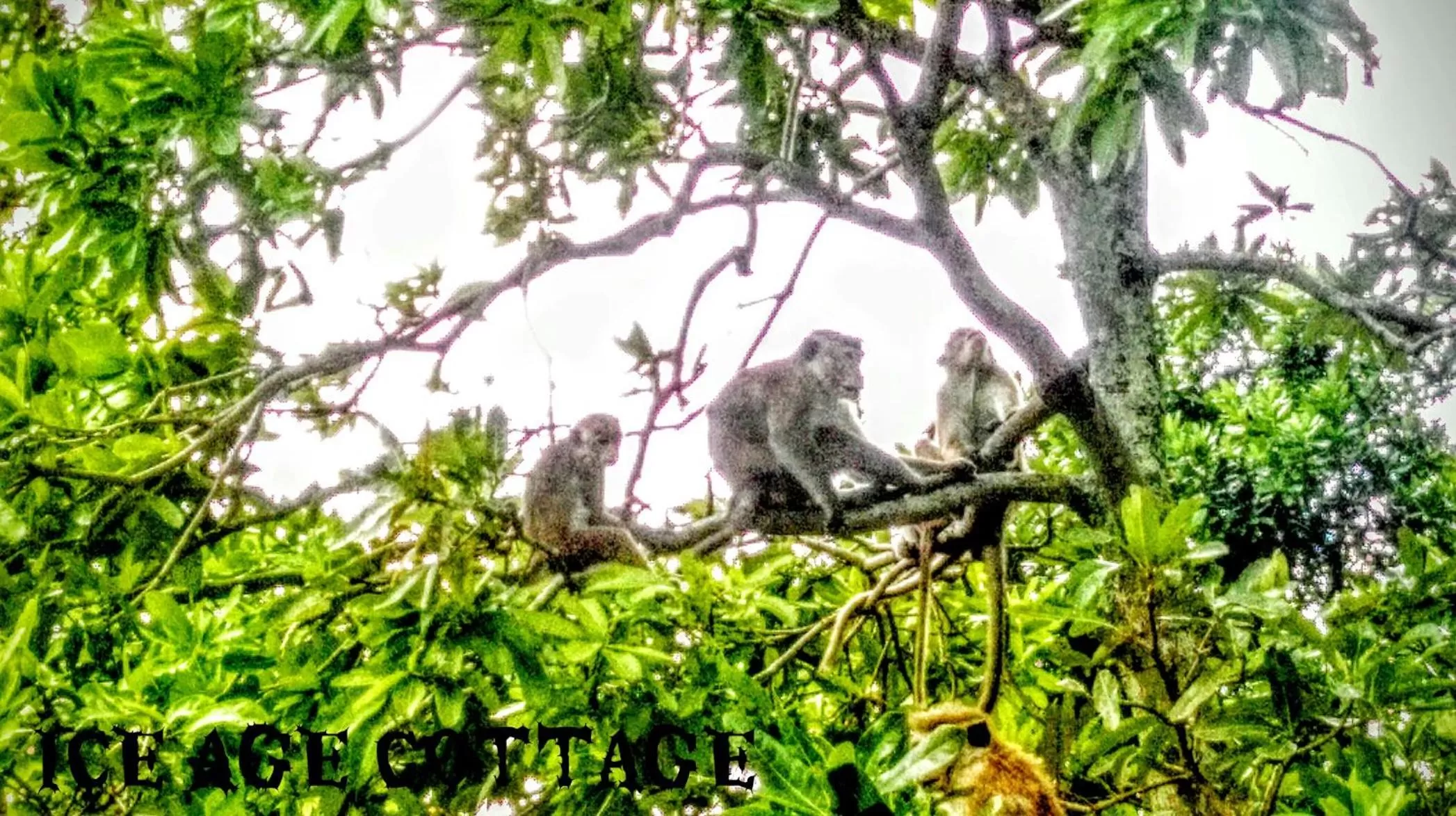 Animals in Ice Age Cottage