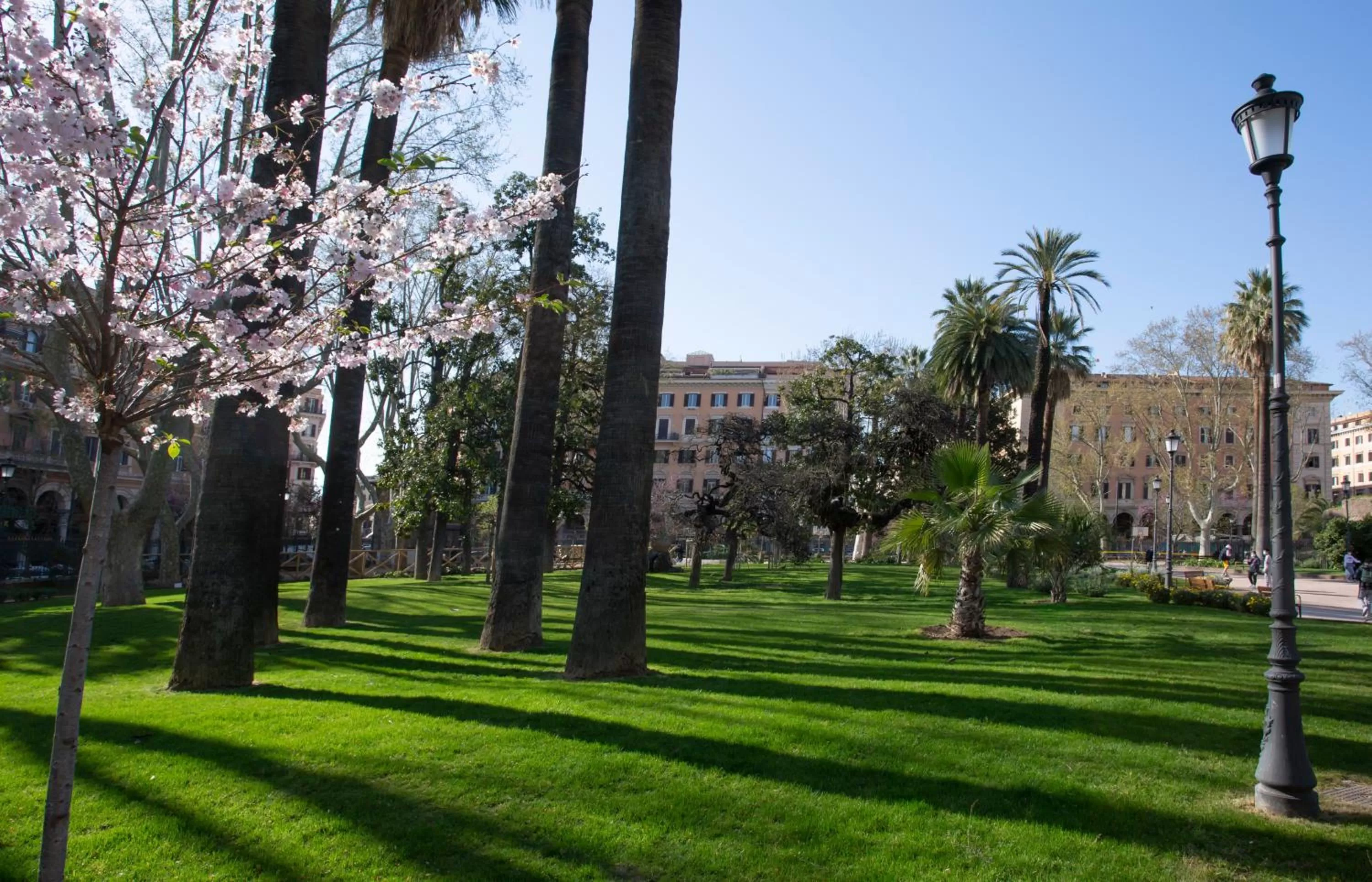 Garden in Hotel Napoleon