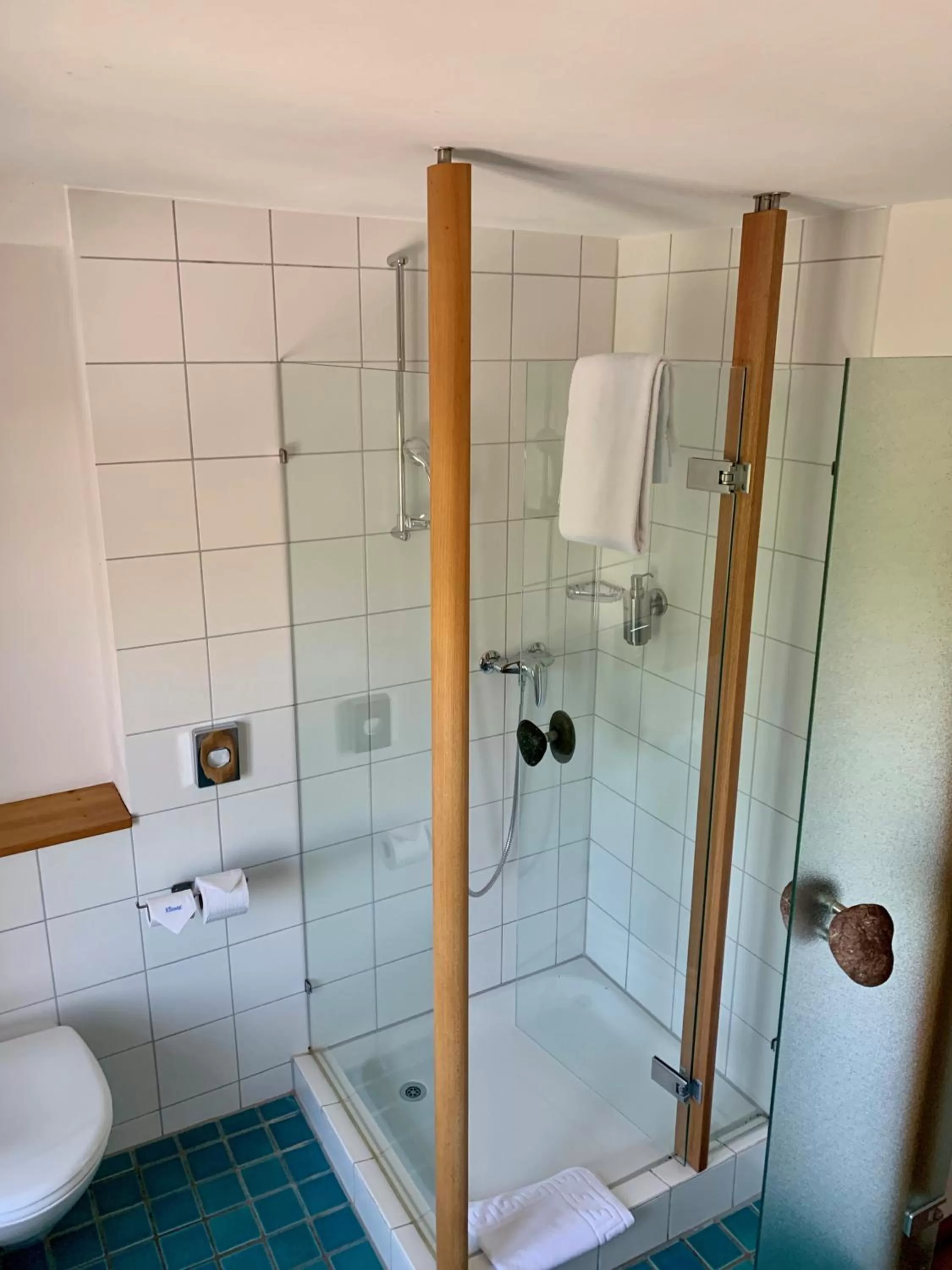 Shower in Hotel Restaurant Schiff