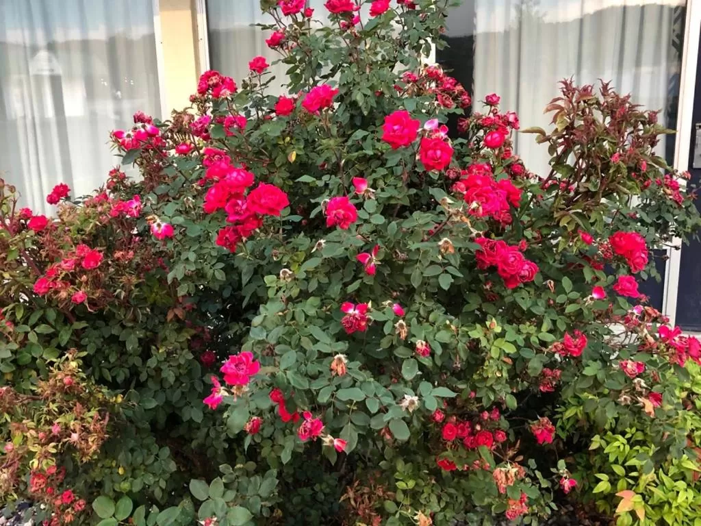 Budget Inn Express Bristol