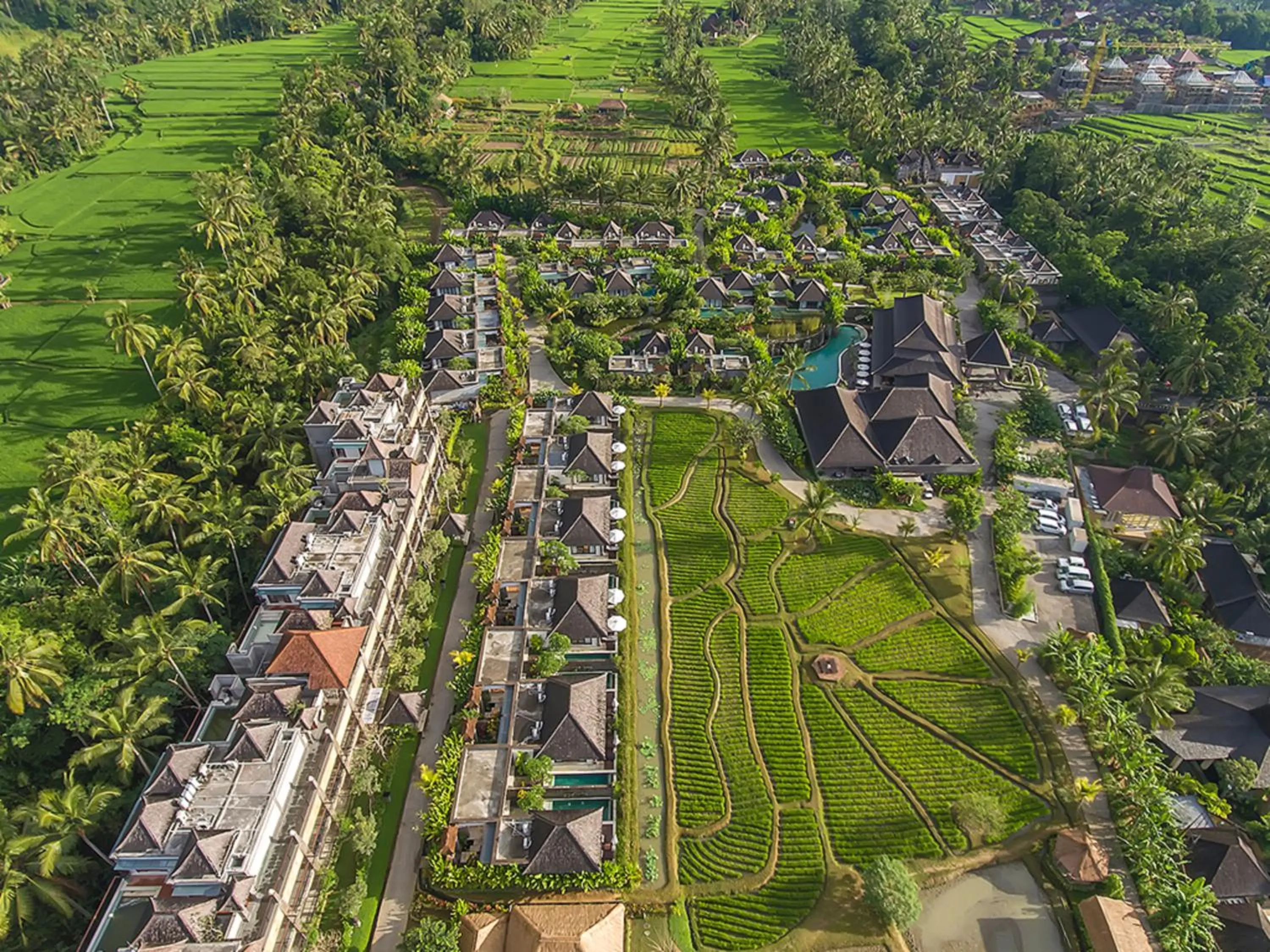 Bird's eye view in Visesa Ubud Resort