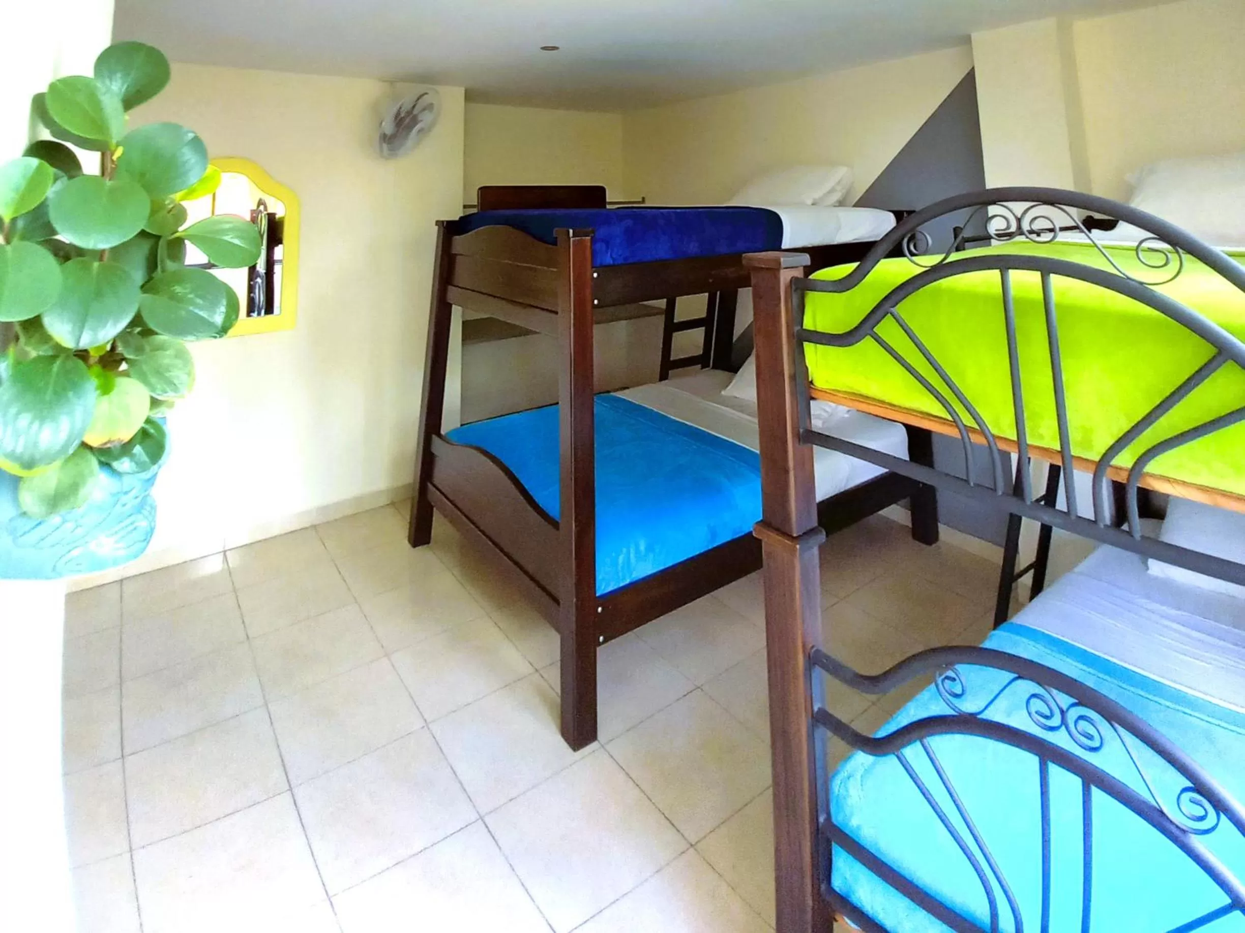 Bunk Bed in Casa Azul Boutique Hostel