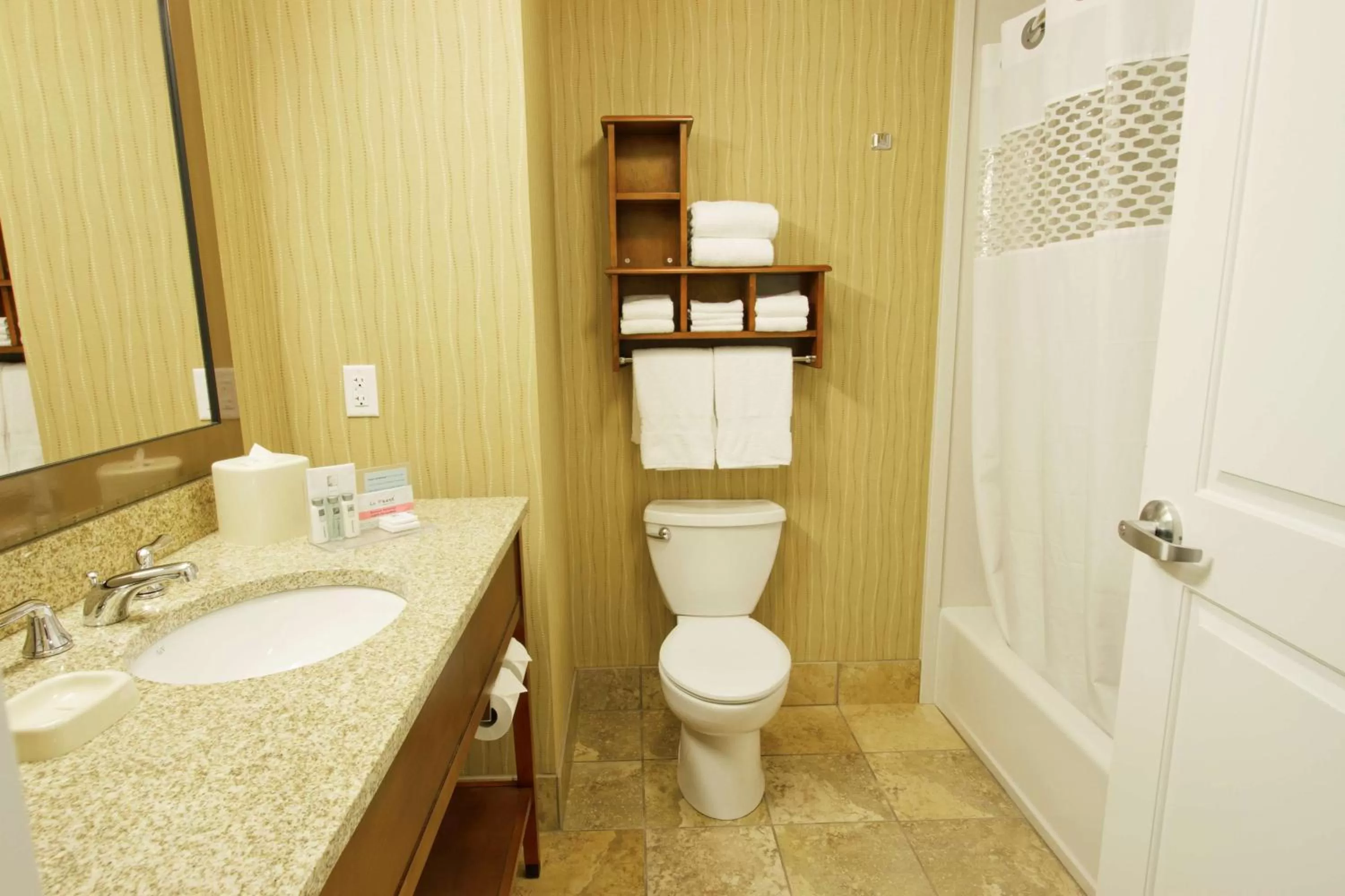 Bathroom in Hampton Inn Bangor