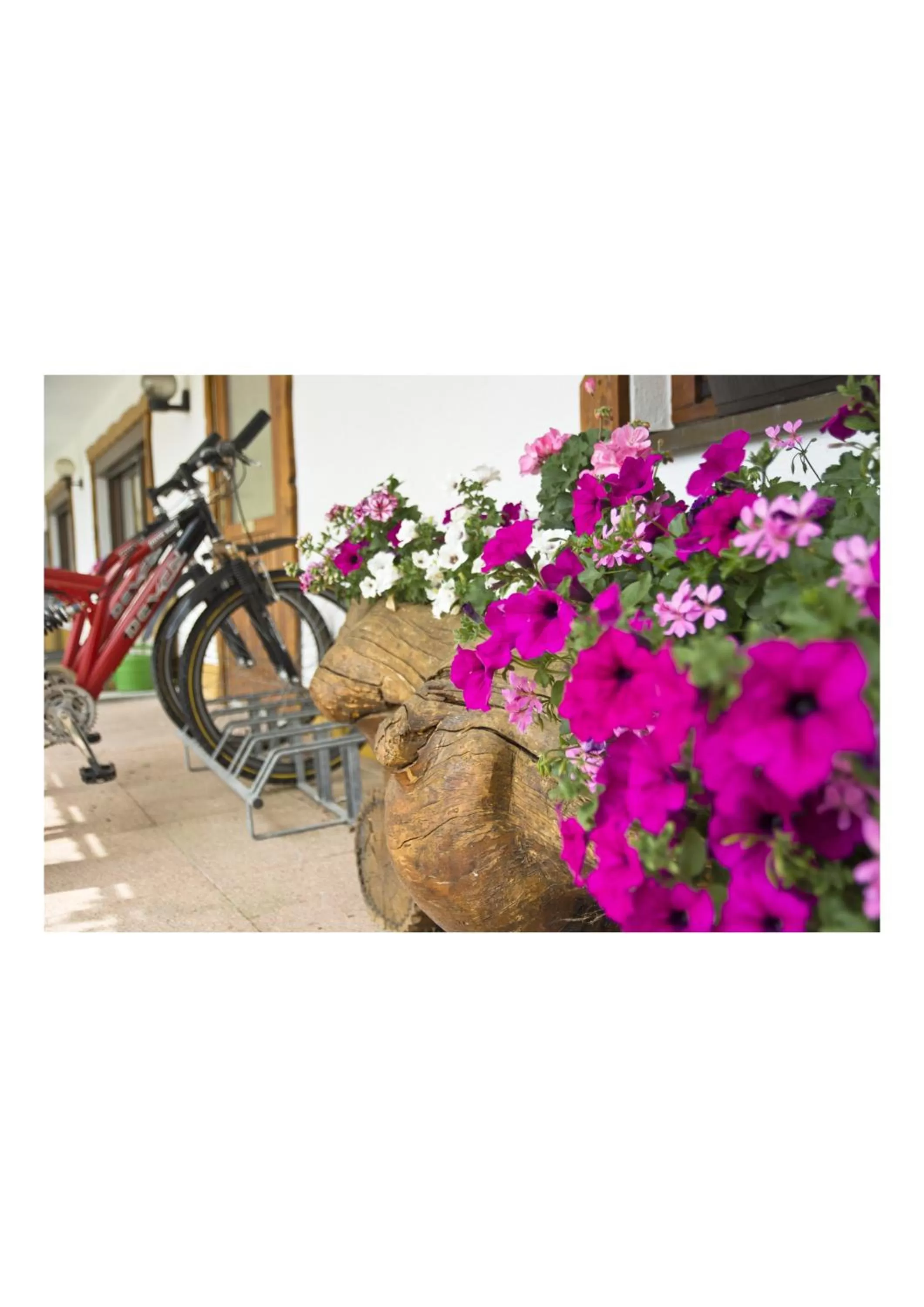 Facade/entrance in Öko-Landhotel Basler Hof